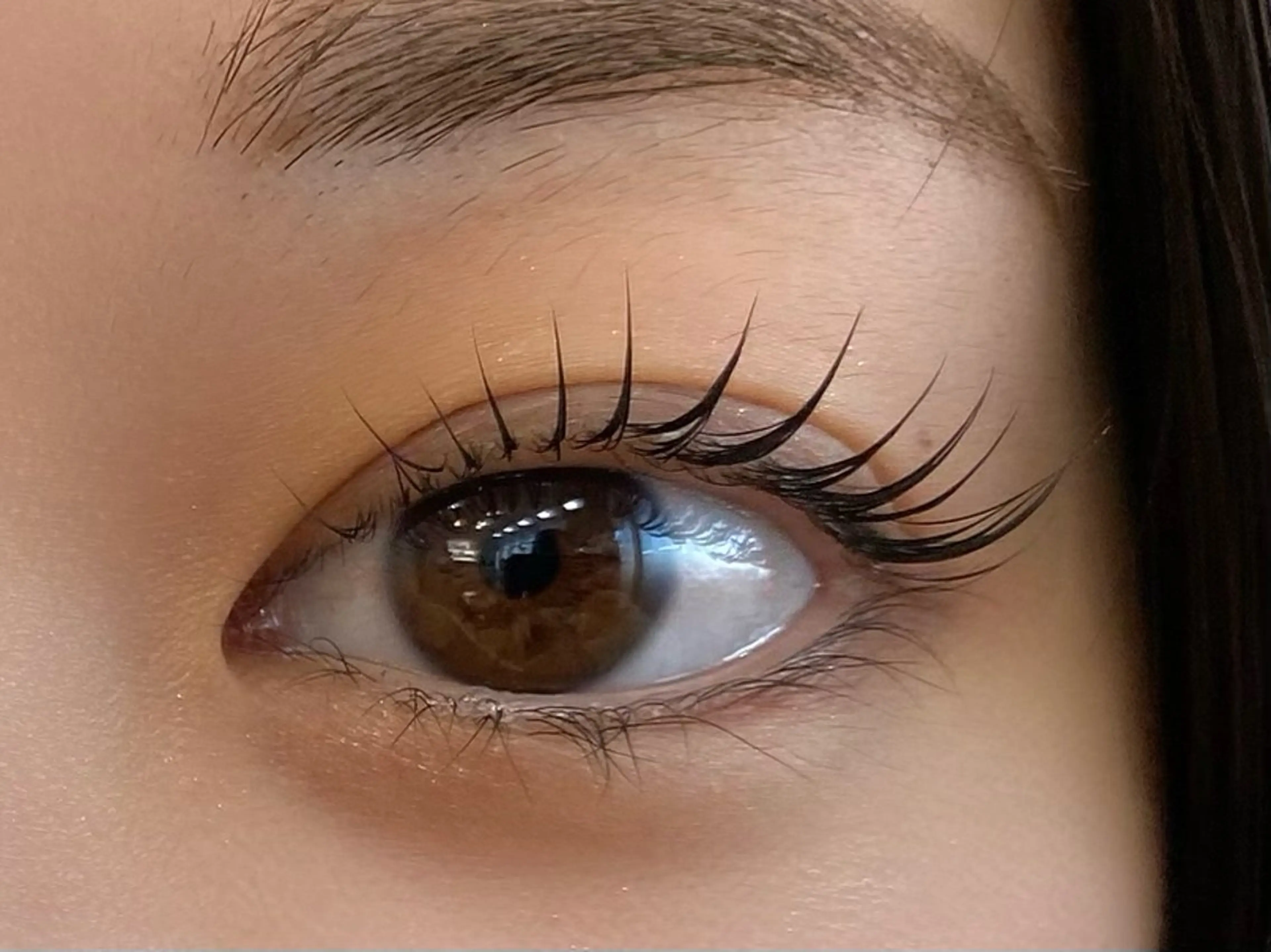 【ご新規様限定】【期間限定】卒入学キャンペーン🌸特別な日にまつげパーマでぱっちりなお目元へ✨の写真