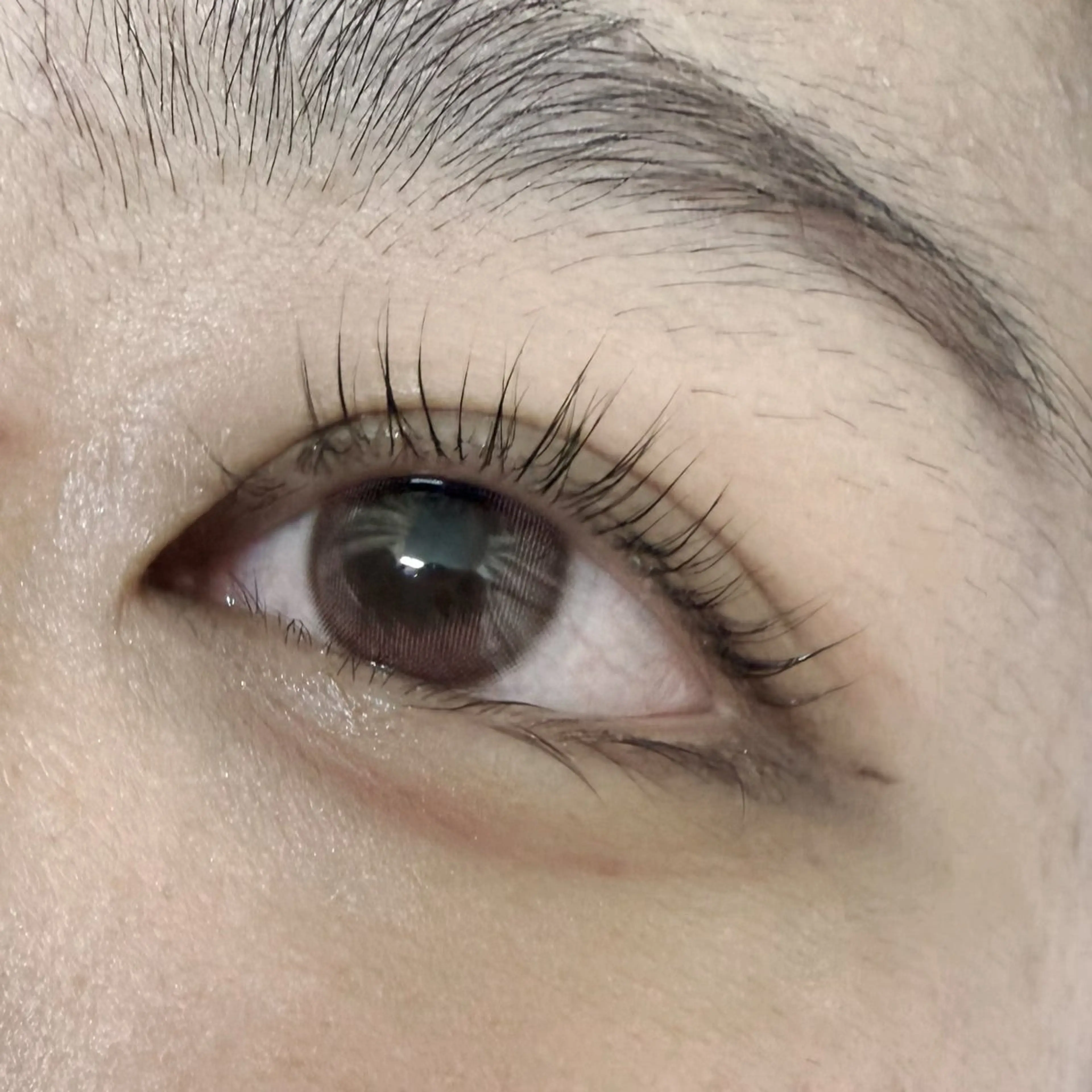 【オフ対応不可】フラットラッシュ150本の写真