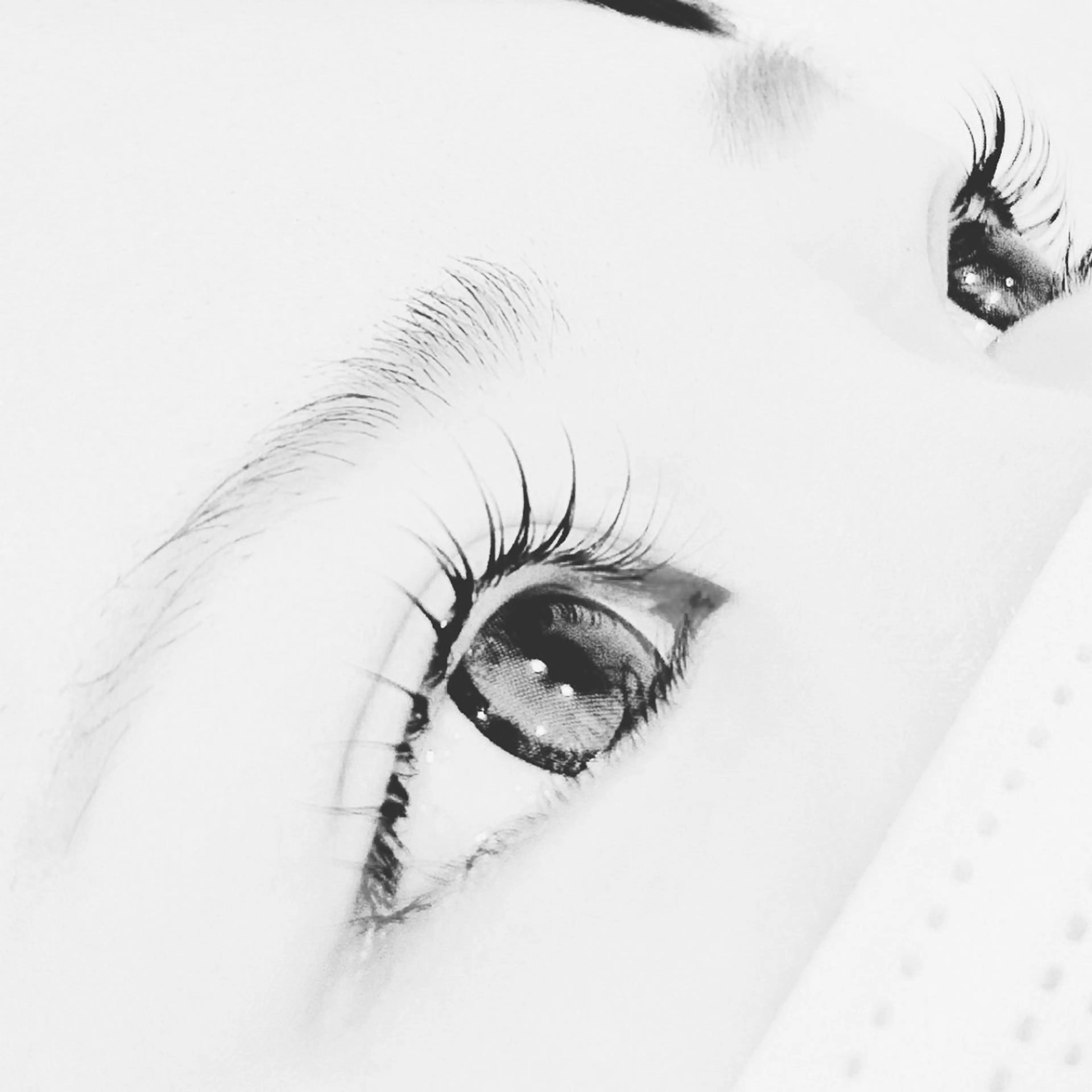 マツエク・マツパ salon greyのマツエク・マツパデザイン