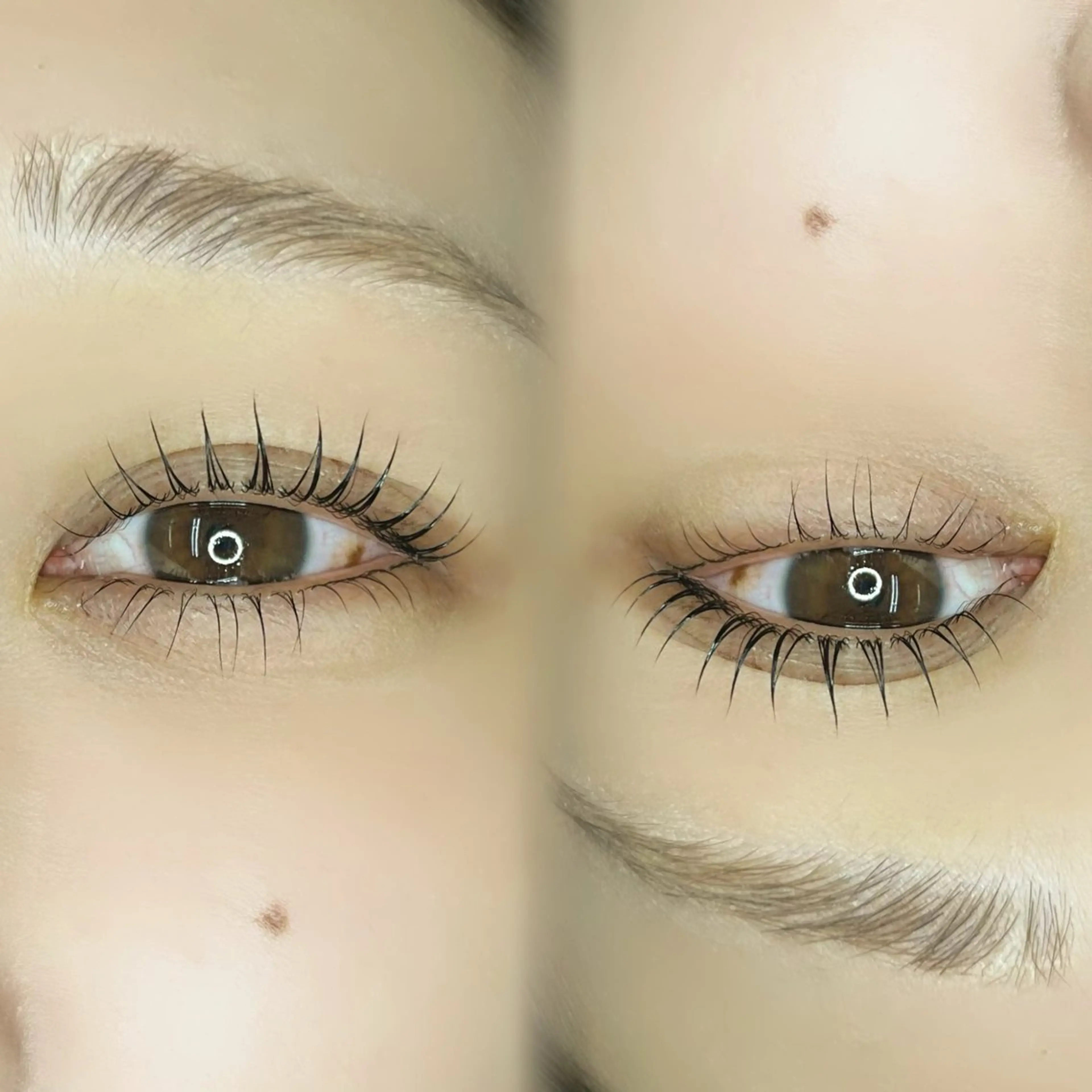 【リピーター】まつ毛パーマ上下セット再来クーポン🫧🤍☁️の写真