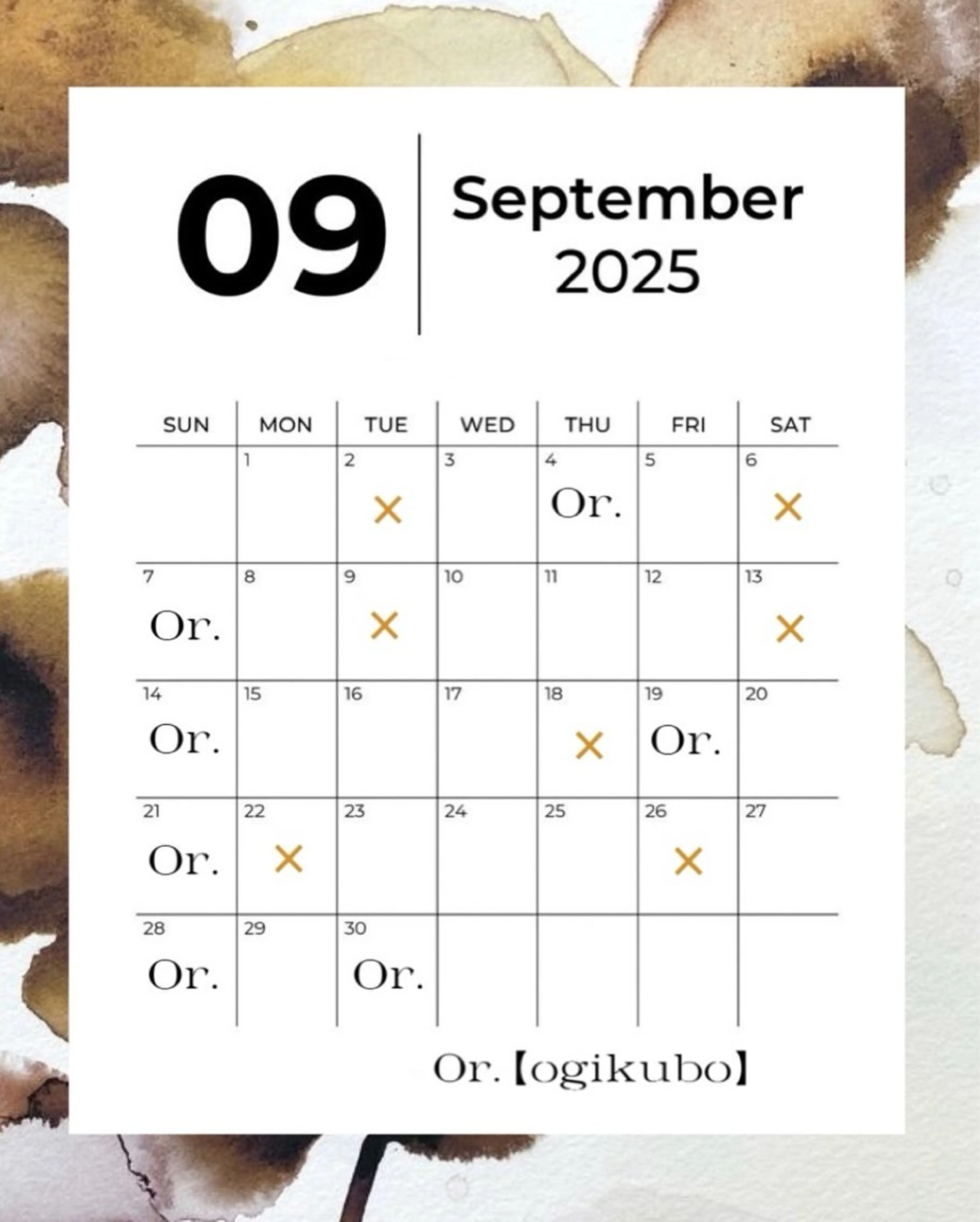 stay she Nail所属・stayshe Coconaのネイルデザイン