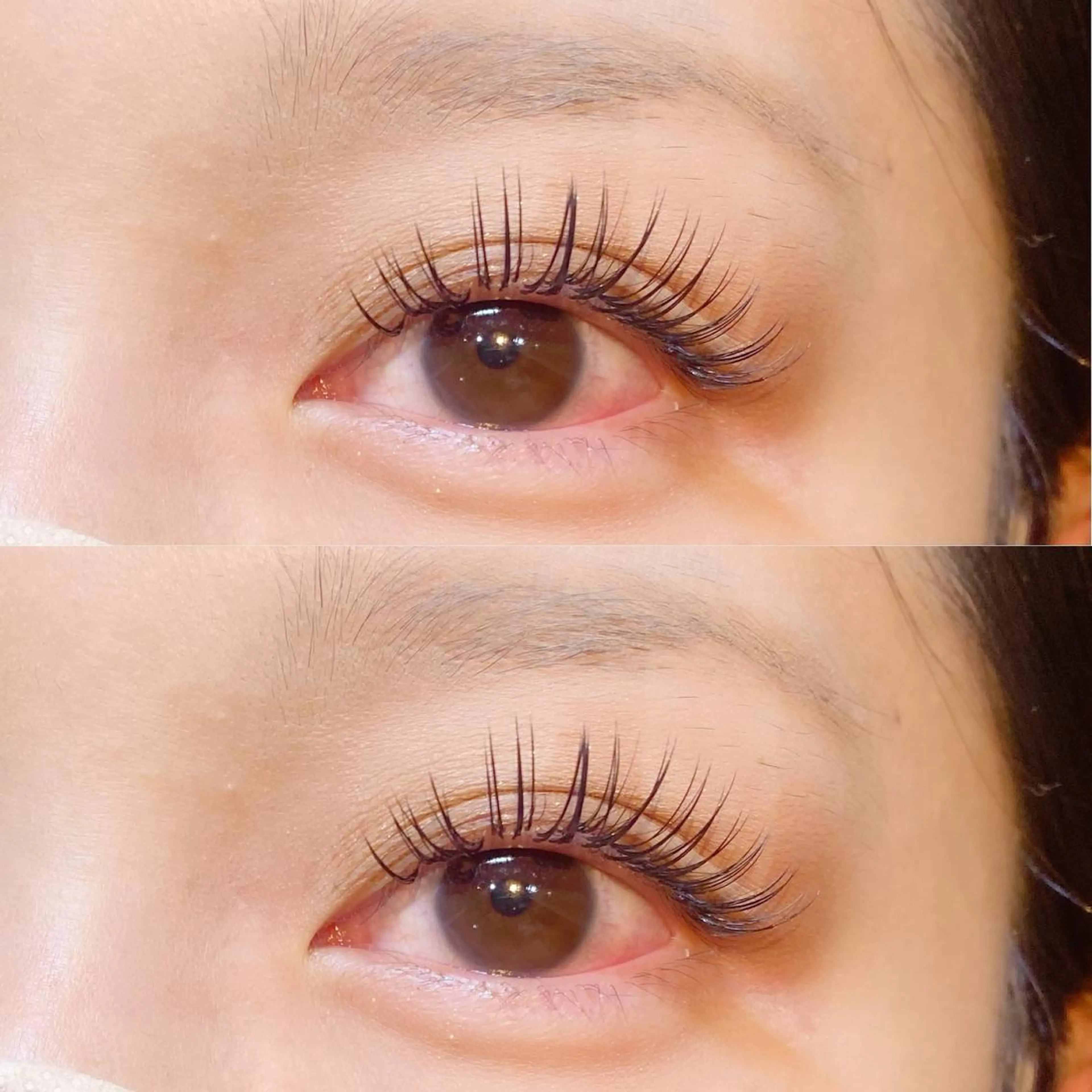 ❄️初回限定❄️【✨高持続✨】バインドロック100束の写真