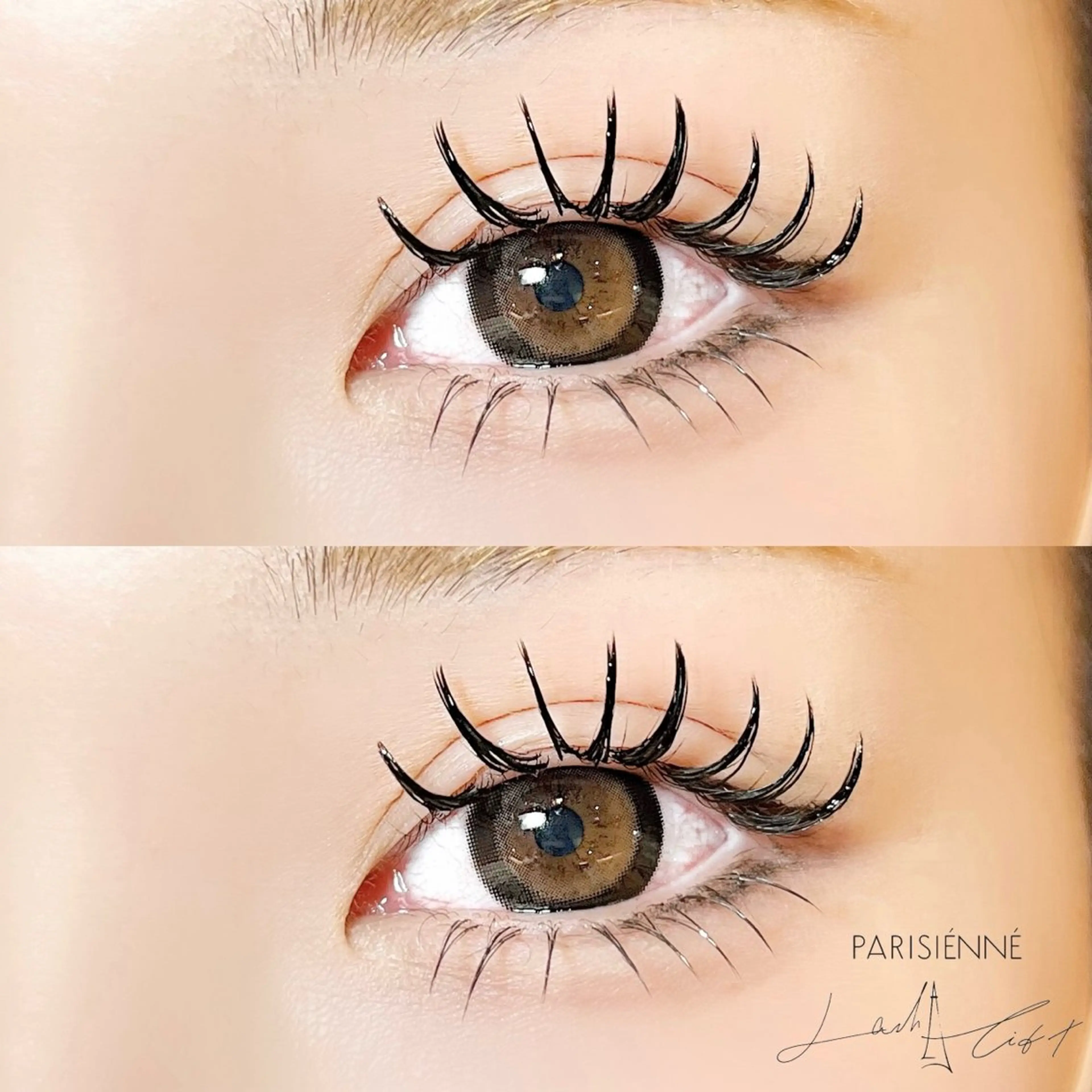 マツエク・マツパ バインドロック 束感まつ毛 Cカール 下まつげエクステ sola: neolive熊田のマツエク・マツパデザイン