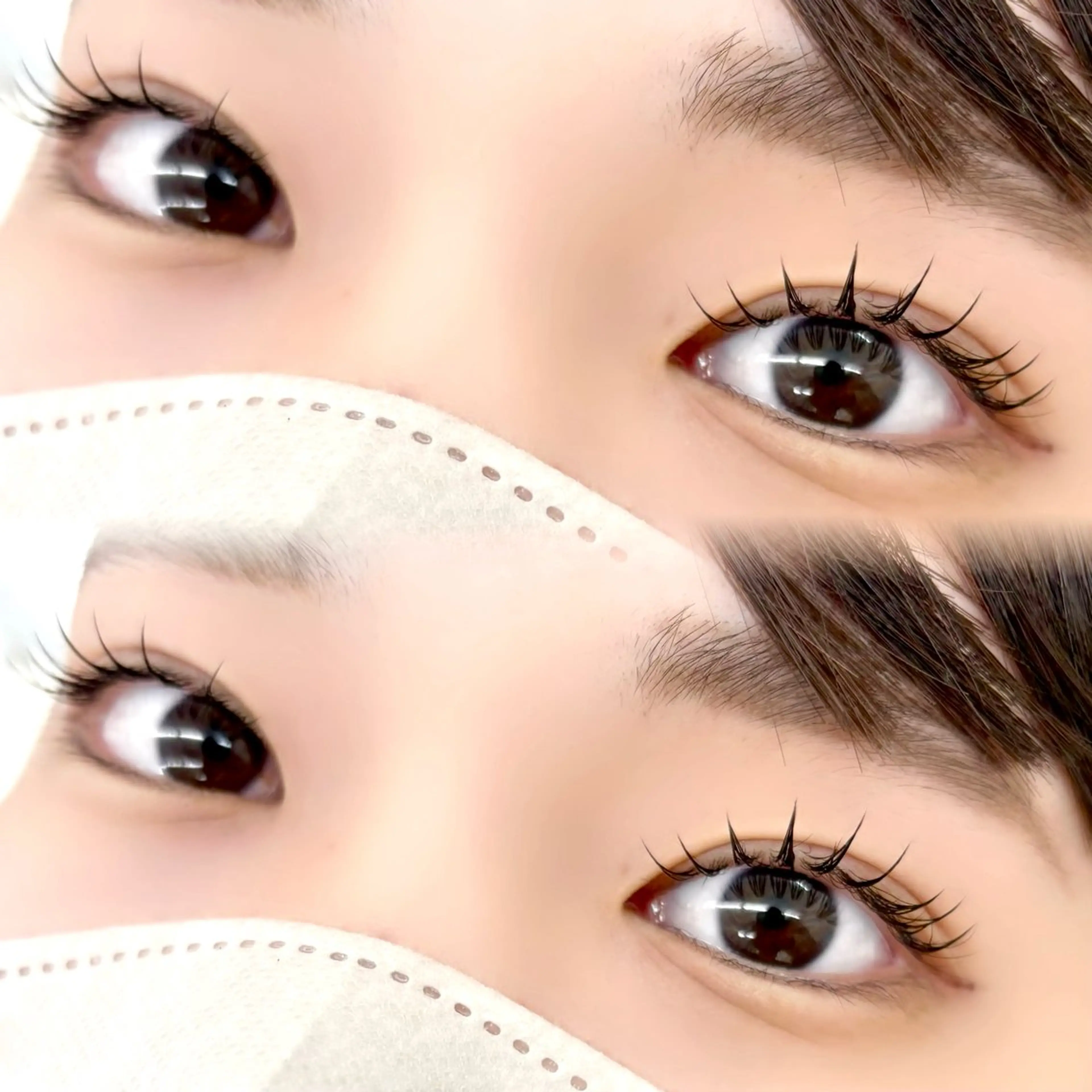 モチ◎Wフラットバインドロック80束（160本）【オフ有り】の写真