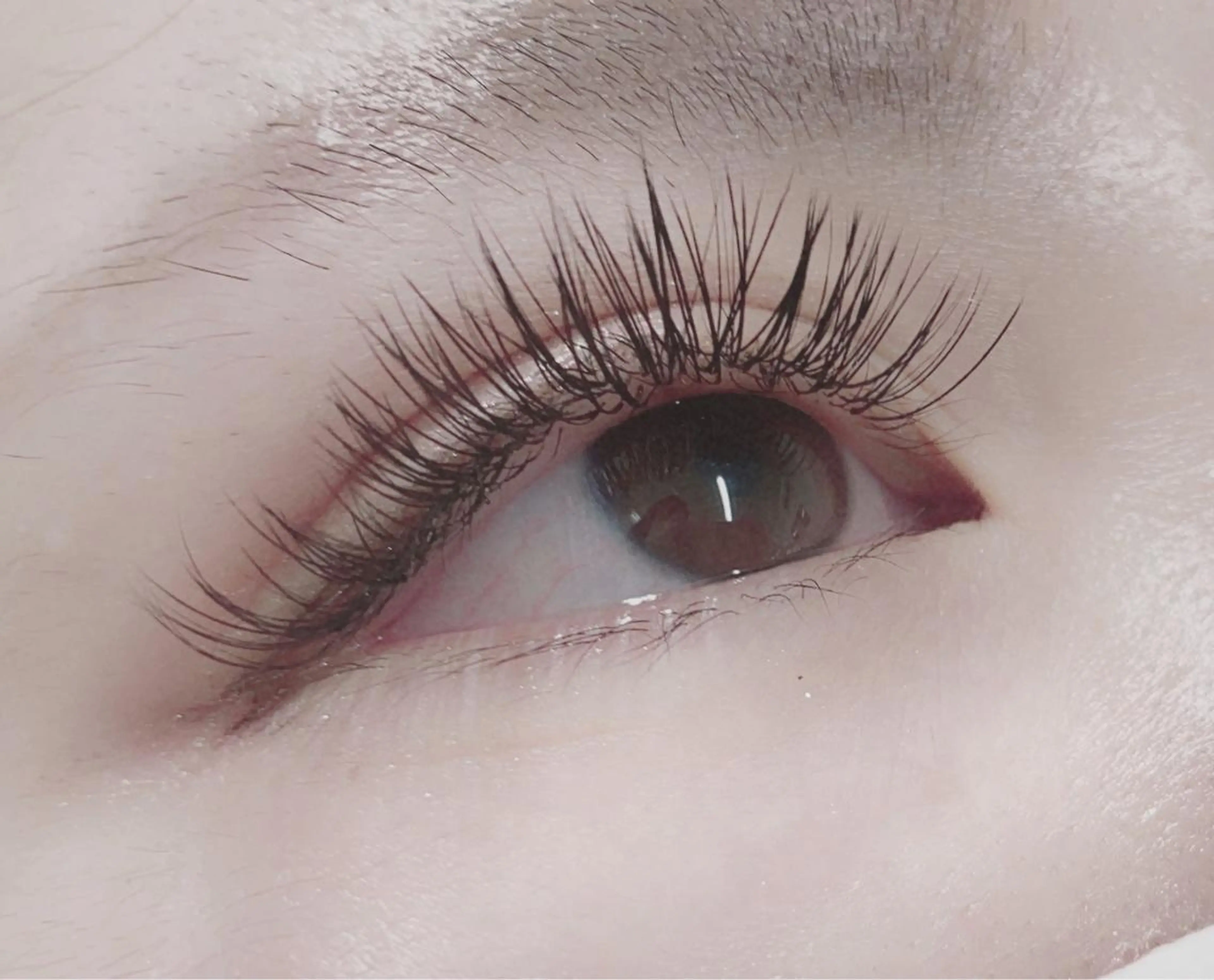 マツエク・マツパ RIGOLETTO 🤍吉成愛華のマツエク・マツパデザイン