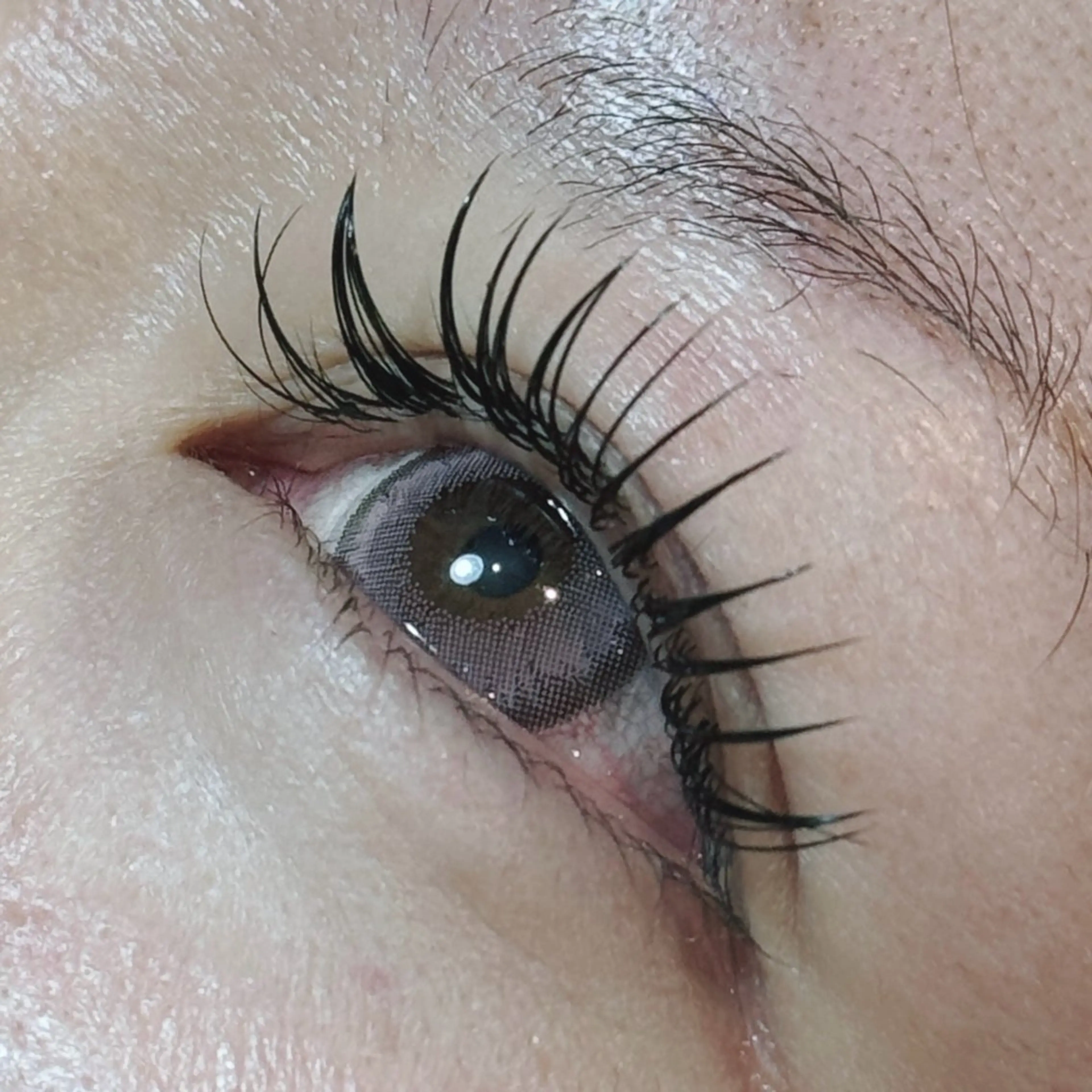 マツエク・マツパ Cカール フラットラッシュ セーブル August 大野のエステ・リラクイメージ