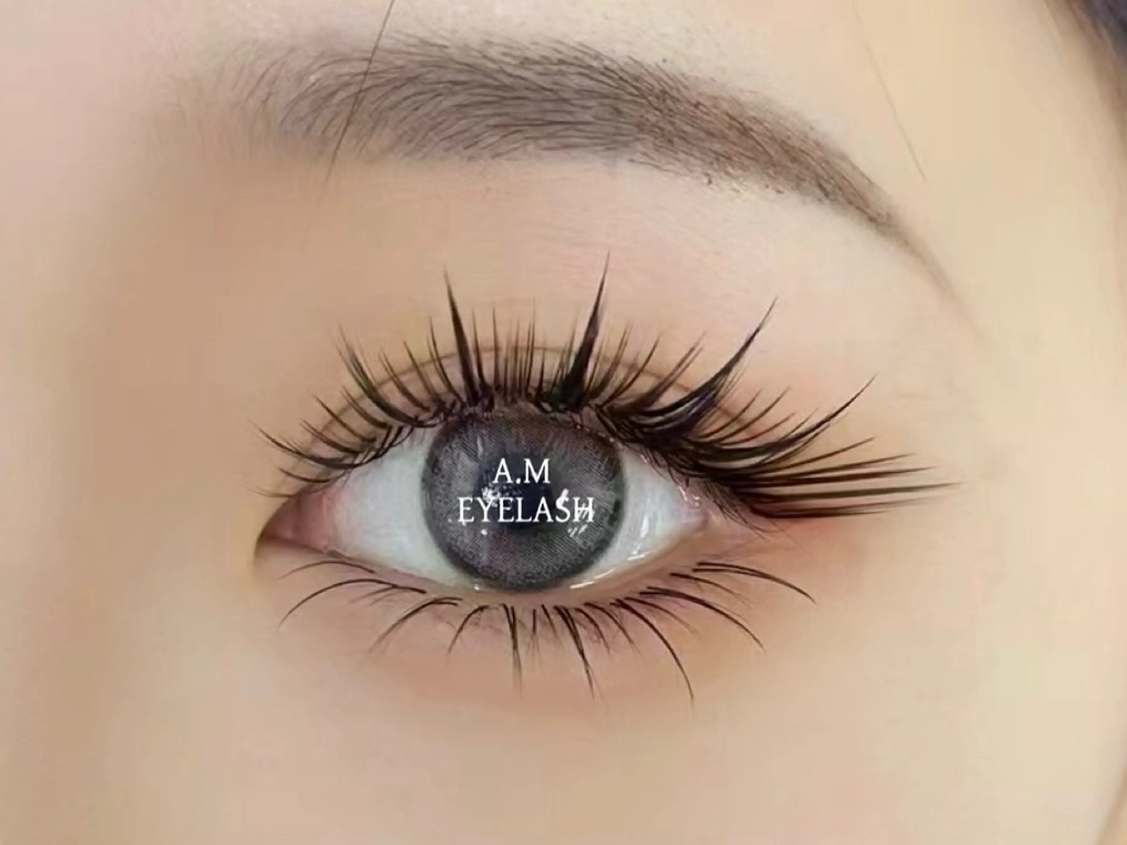 ★大人気^x^猫系ワンホン 濃密束感ボリュームラッシュ600本/120束上のみ【最新LEDエクステ追加+ 1200円】の写真