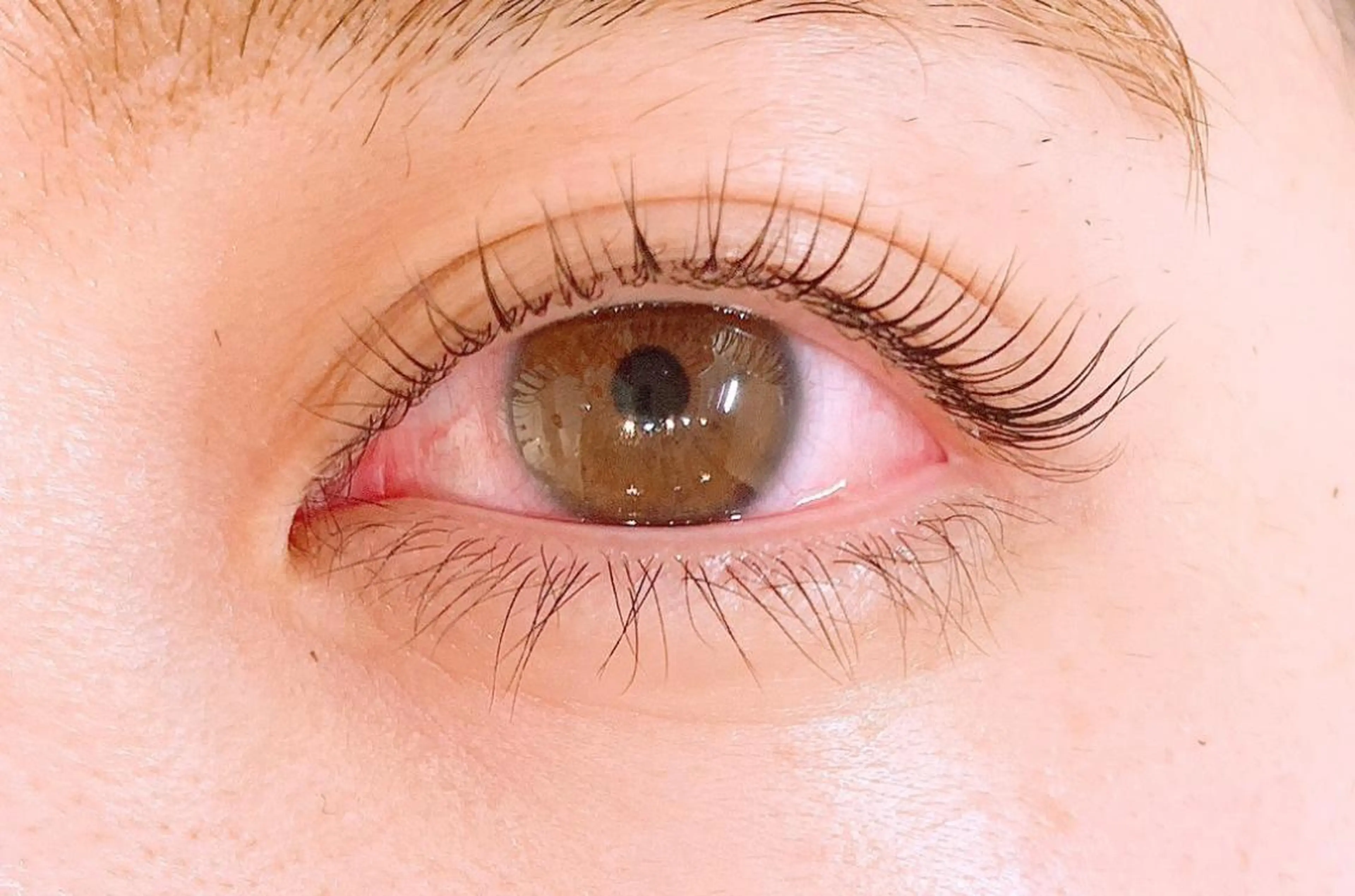 マツエク・マツパ ALETTADONA 北千住店のマツエク・マツパデザイン