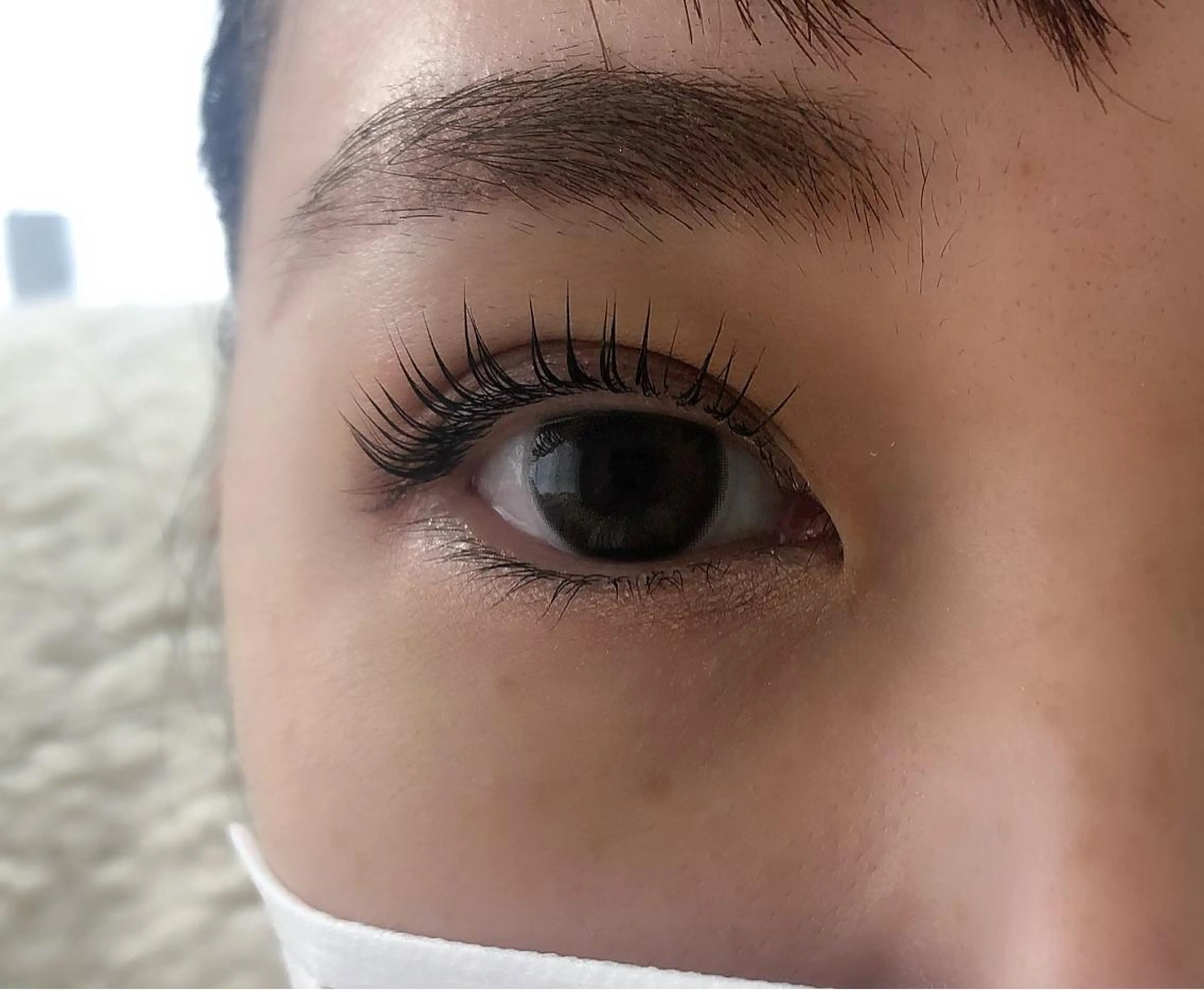 【ご新規様限定】コスメティックラッシュリフトの写真
