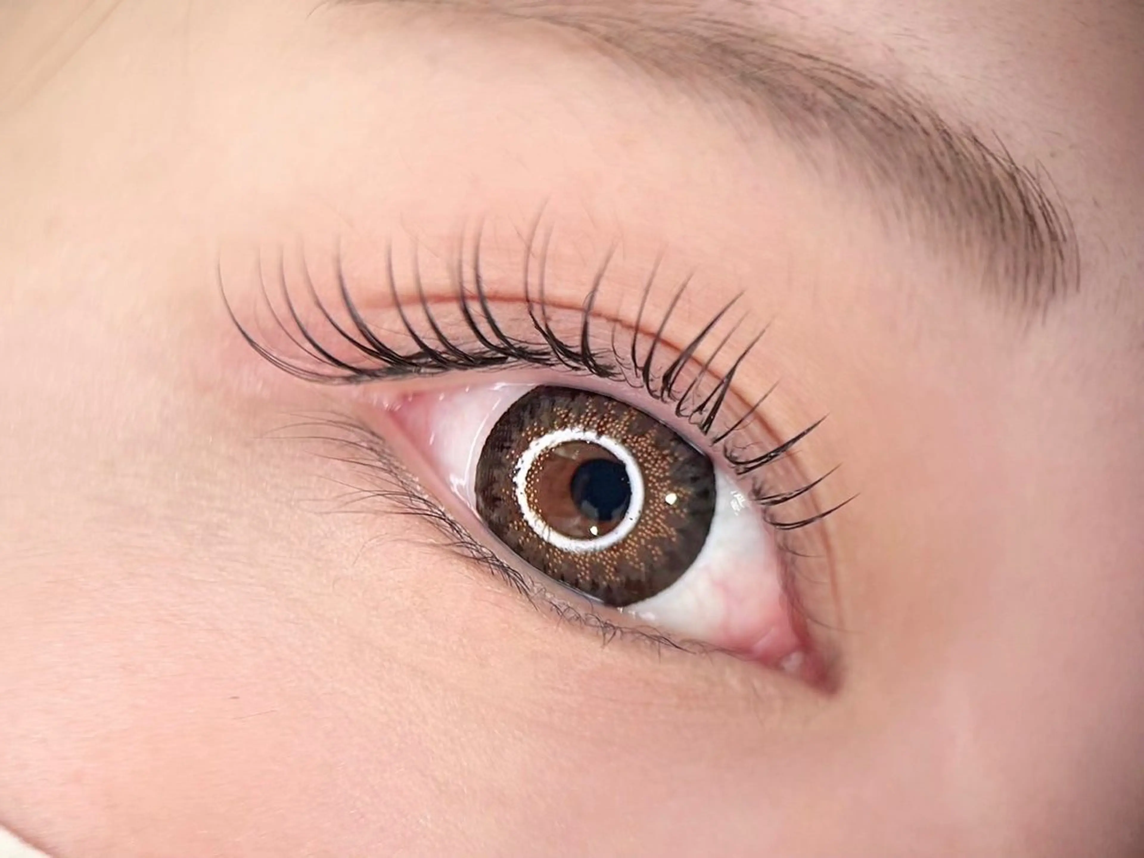 ‼️新メニュー‼️＆ヘルシーの写真