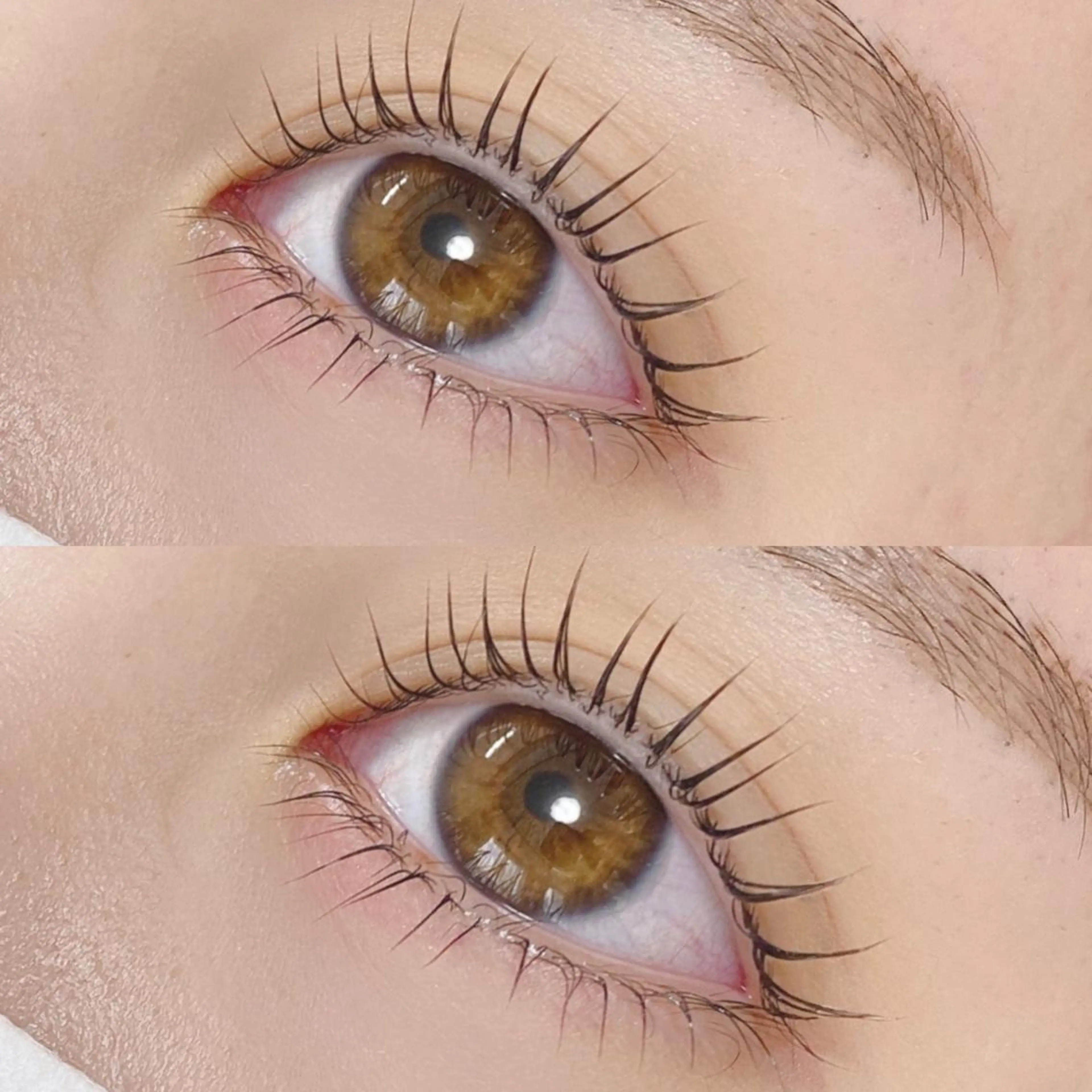 マツエク・マツパ マツパ 【那覇/束感まつ毛】 キャメルのマツエク・マツパデザイン