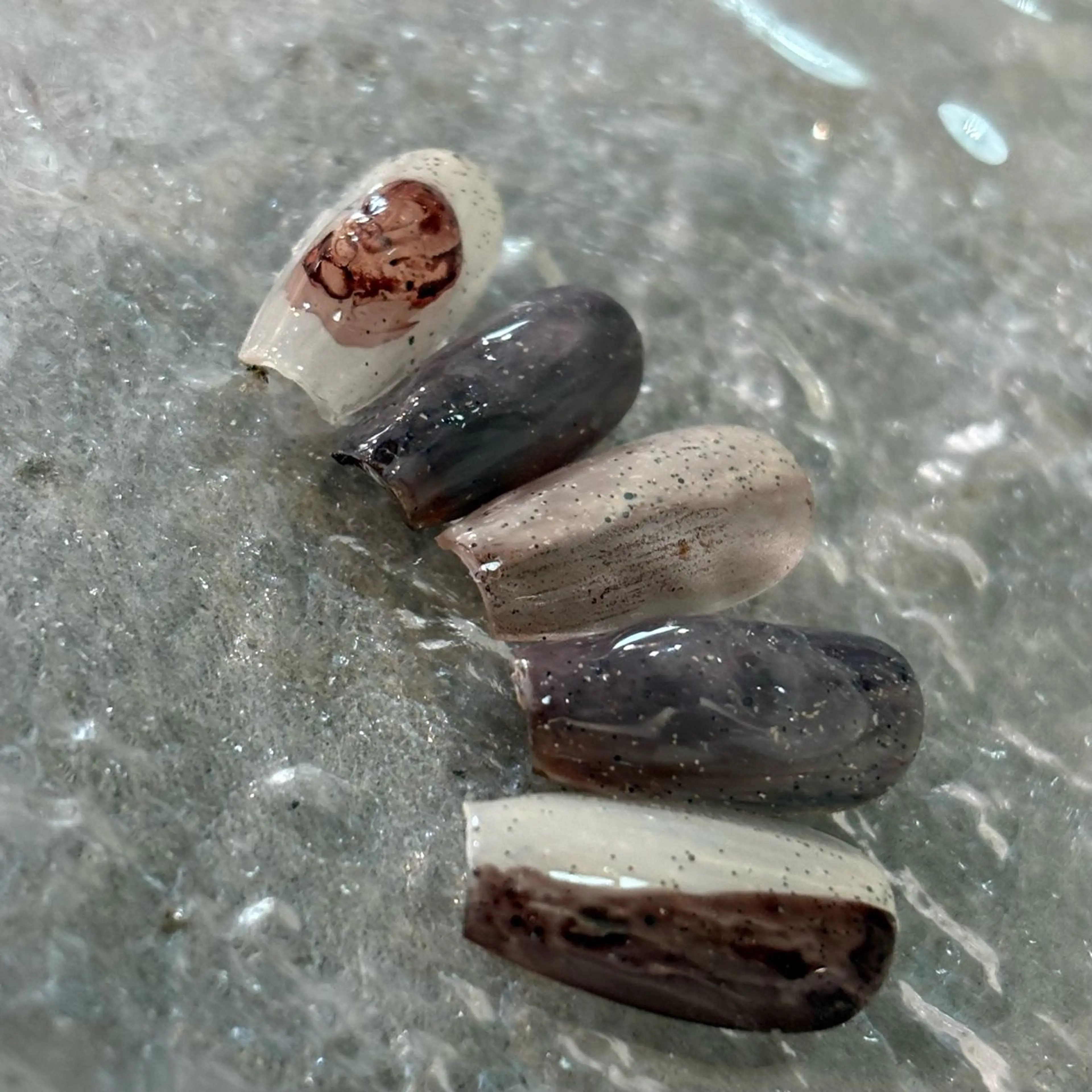 ネイル アートネイル クリアネイル 長さ出し 韓国ネイル ニュアンスネイル vante_aimi .パラジェル取扱店のネイルデザイン