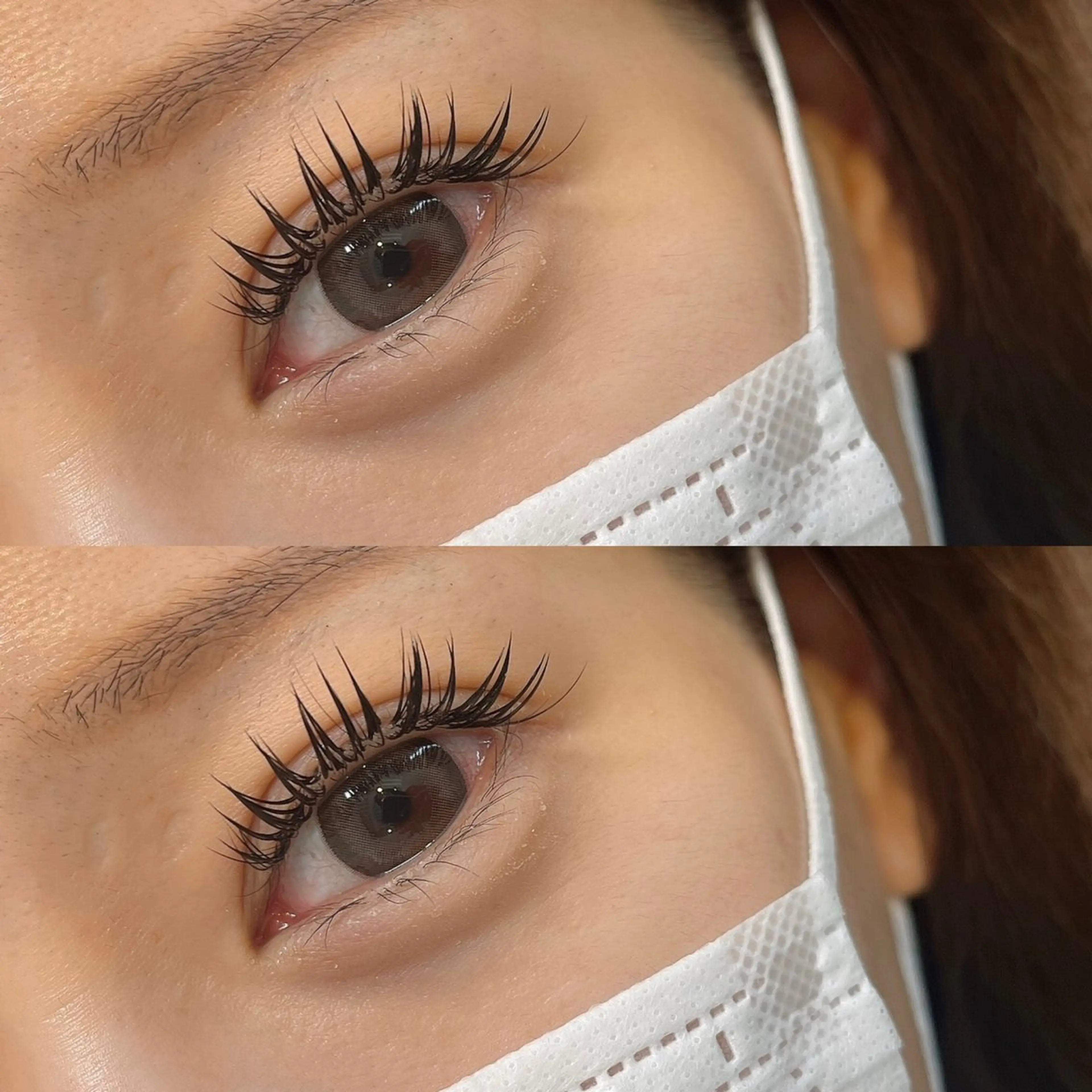 バインドロックorボリュームラッシュ80束の写真