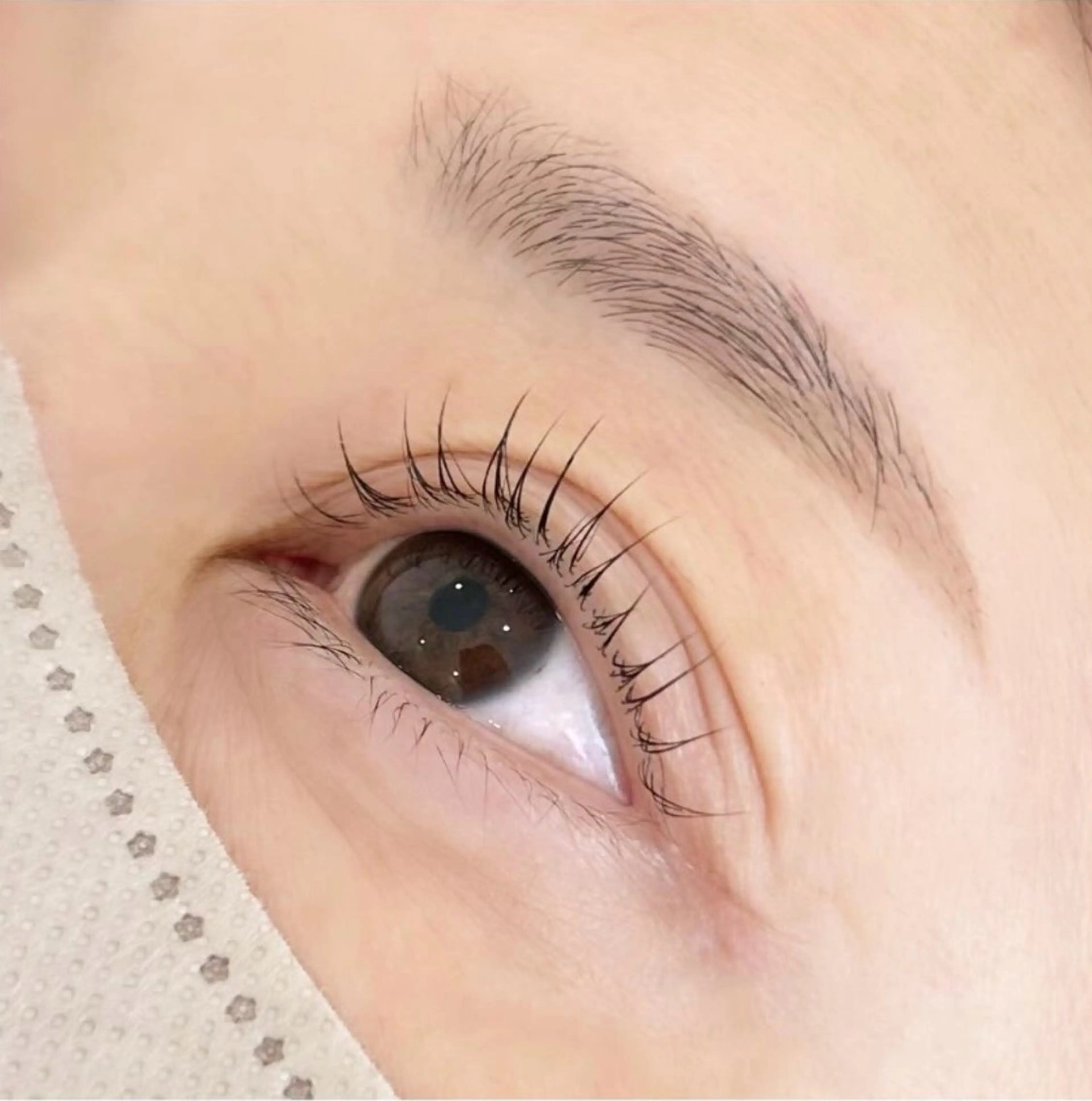モニター価格 まつげパーマ(トリートメント、コーティング付)の写真