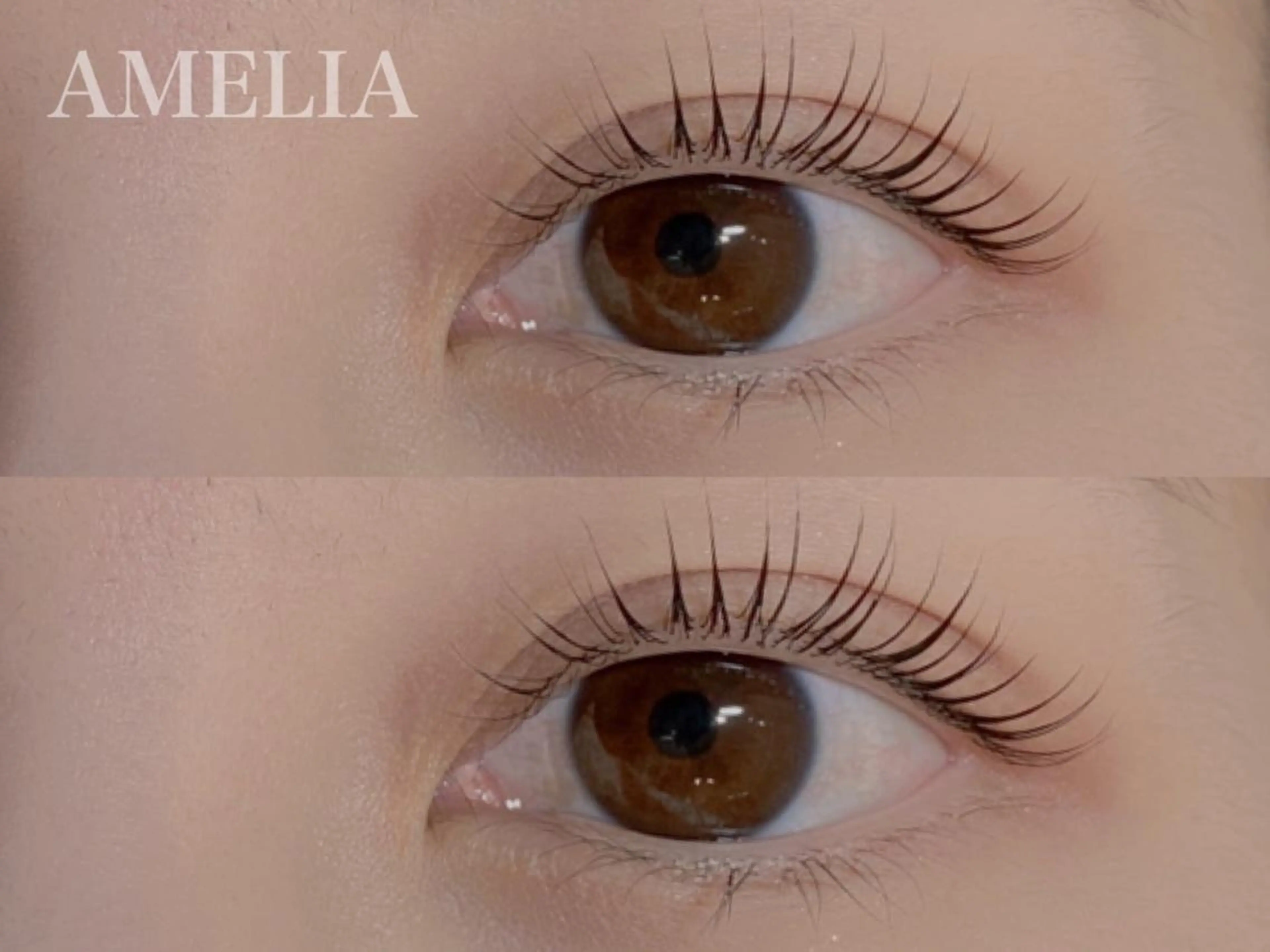 《人気No.1メニュー》🌿まつげパーマ3000円🌿〈エクステオフ別途1,100円〉※5分前来店必須の写真