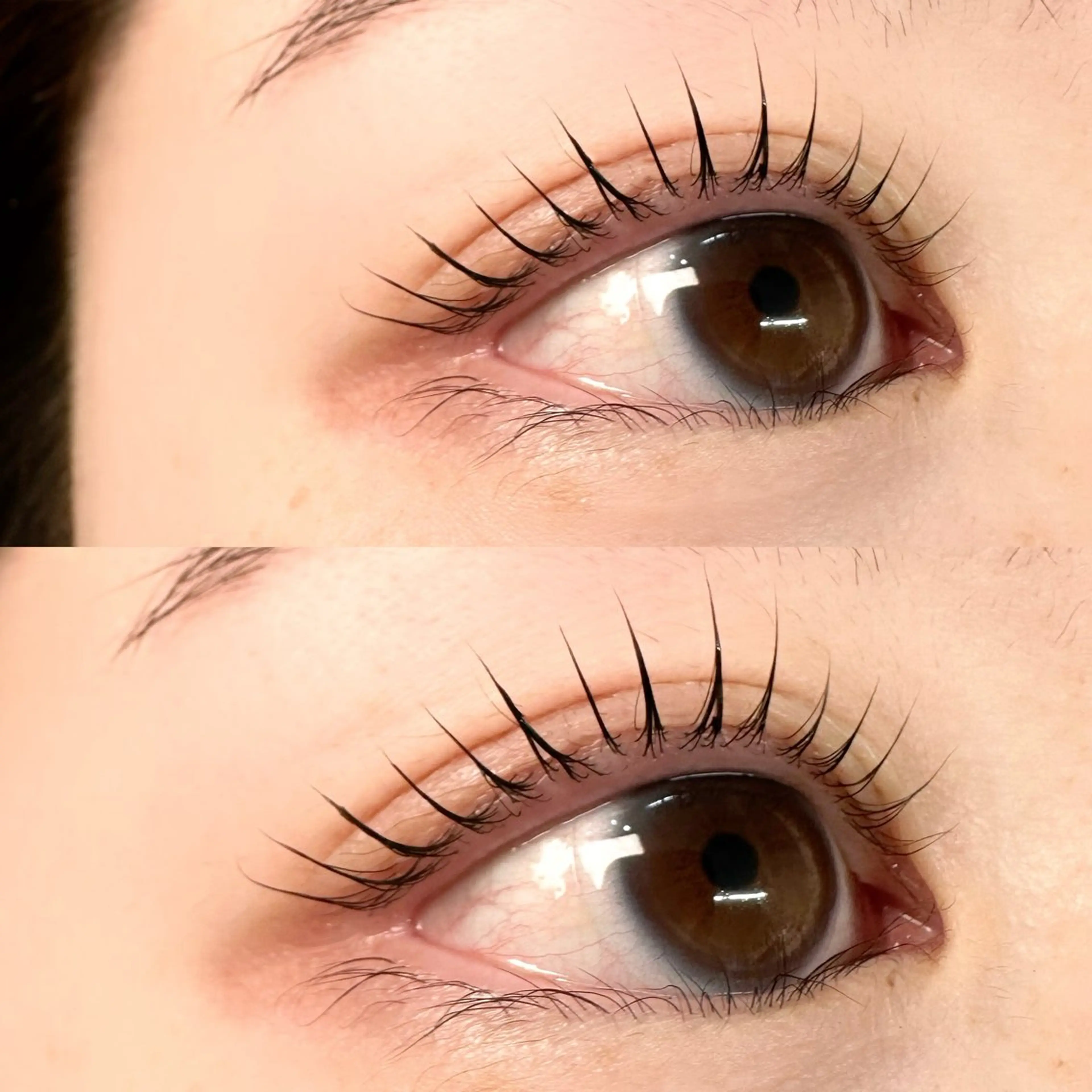 マツエク・マツパ 🌻MIKI / 束感まつ毛 🌻の眉毛・アイブロウイメージ