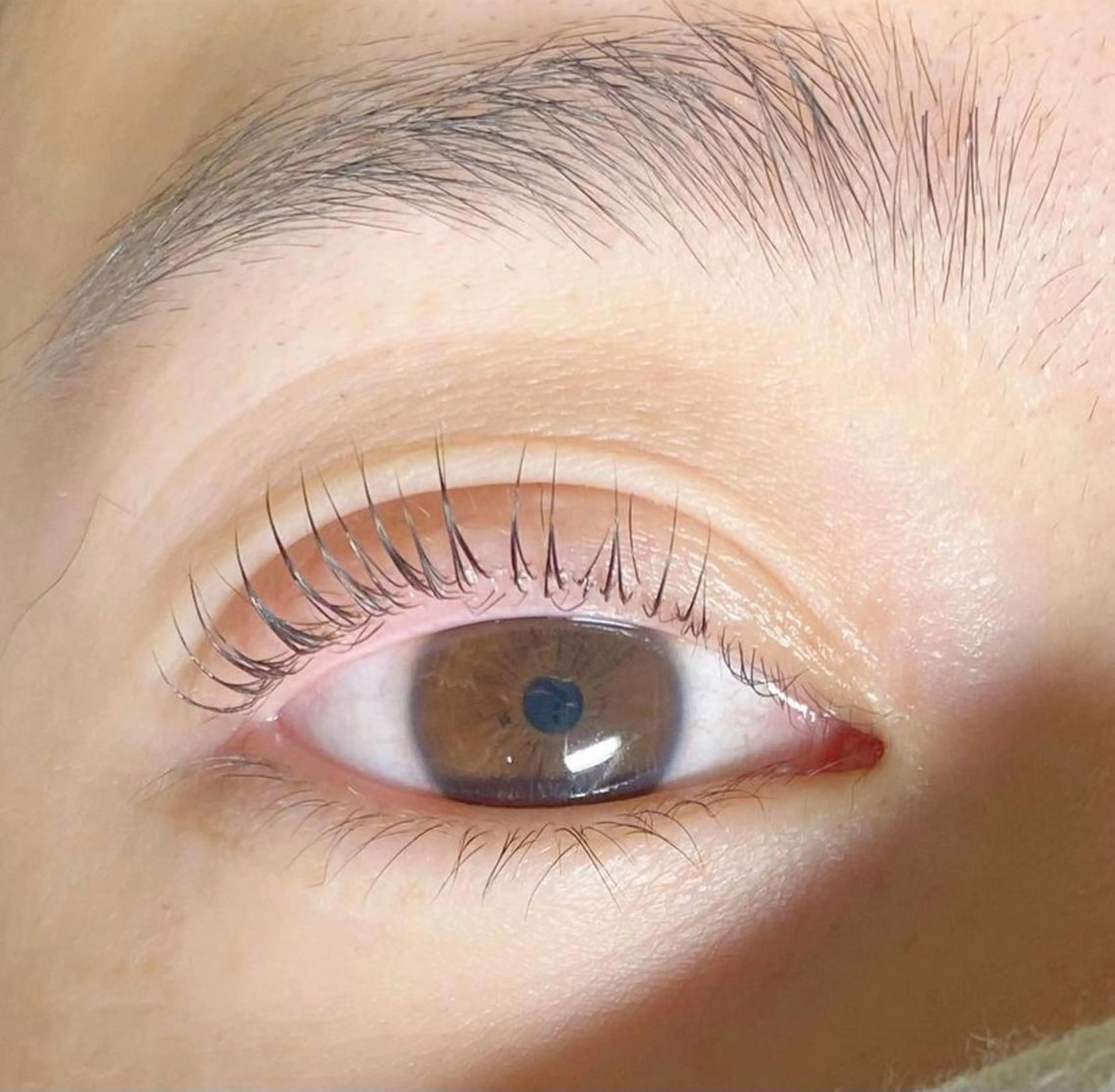 マツエク・マツパ 一重×まつ毛パーマ マツパ ミントラッシュ渋谷店 nene🎀のマツエク・マツパデザイン