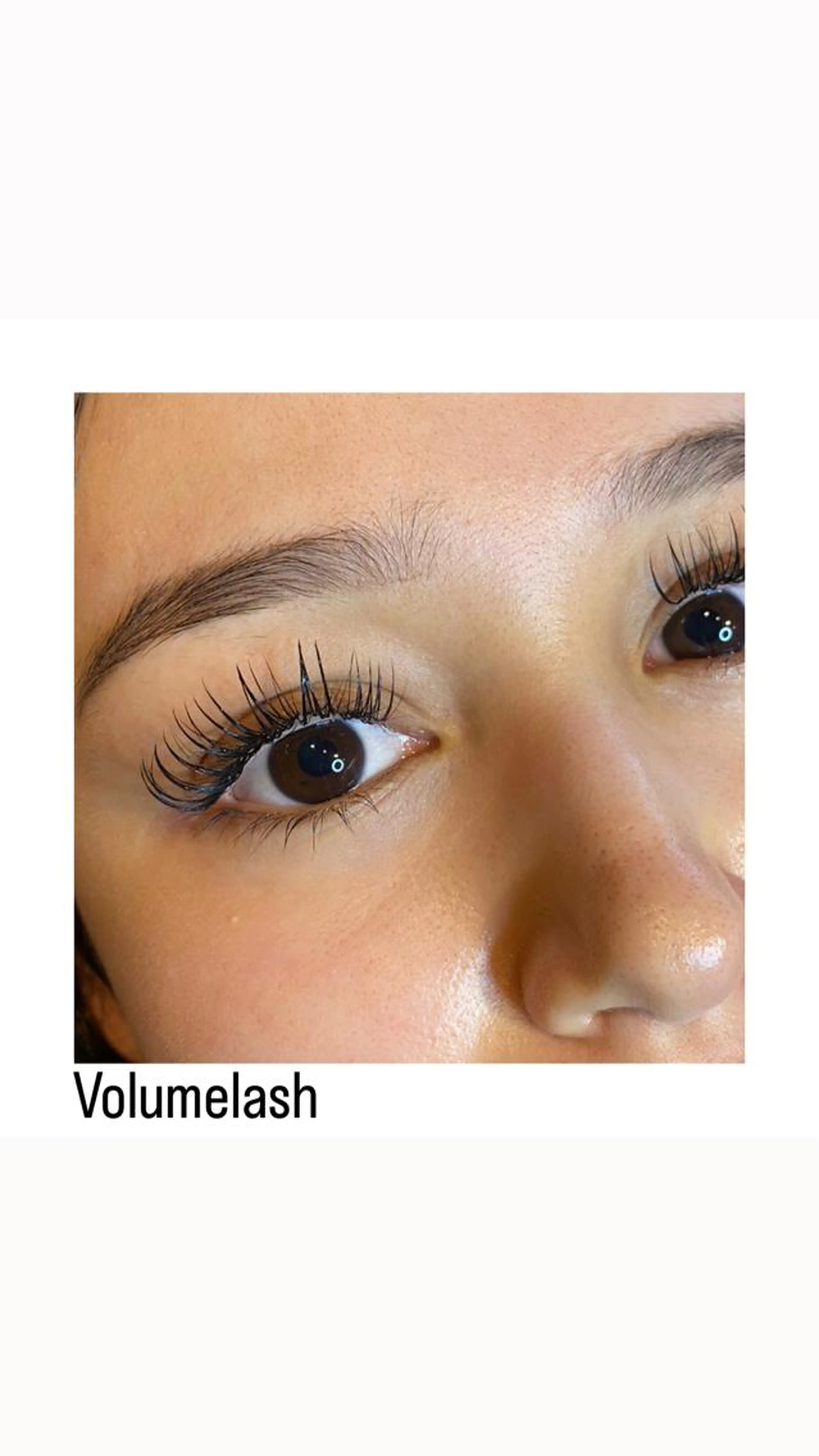 ナチュラルに盛れる！LED LASH|ボリューム100束 or フラット120本【ミニモ新規限定価格】の写真