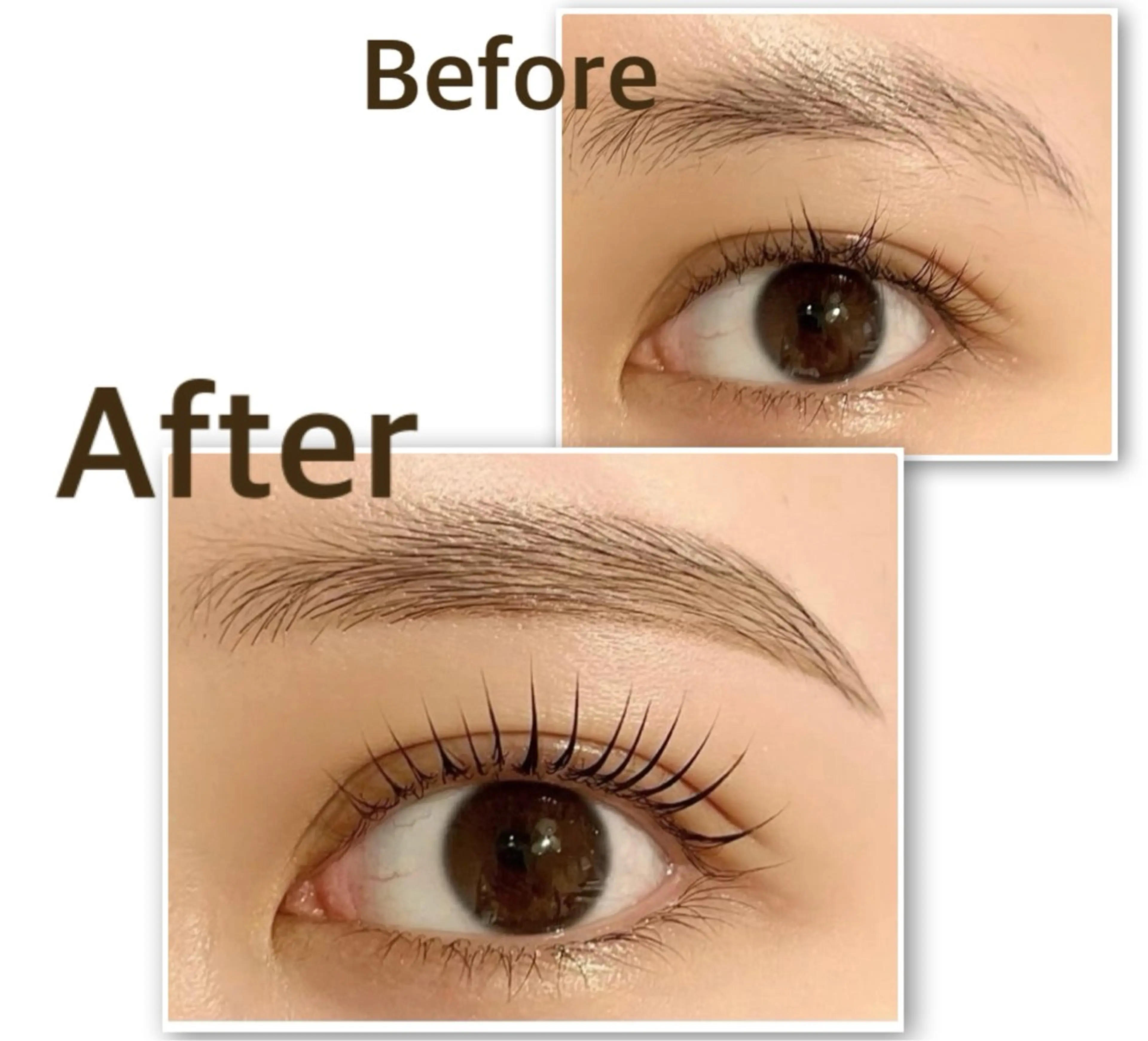 マツエク・マツパ L.eyelash&Beauty所属・エル アイラッシュのマツエク・マツパデザイン