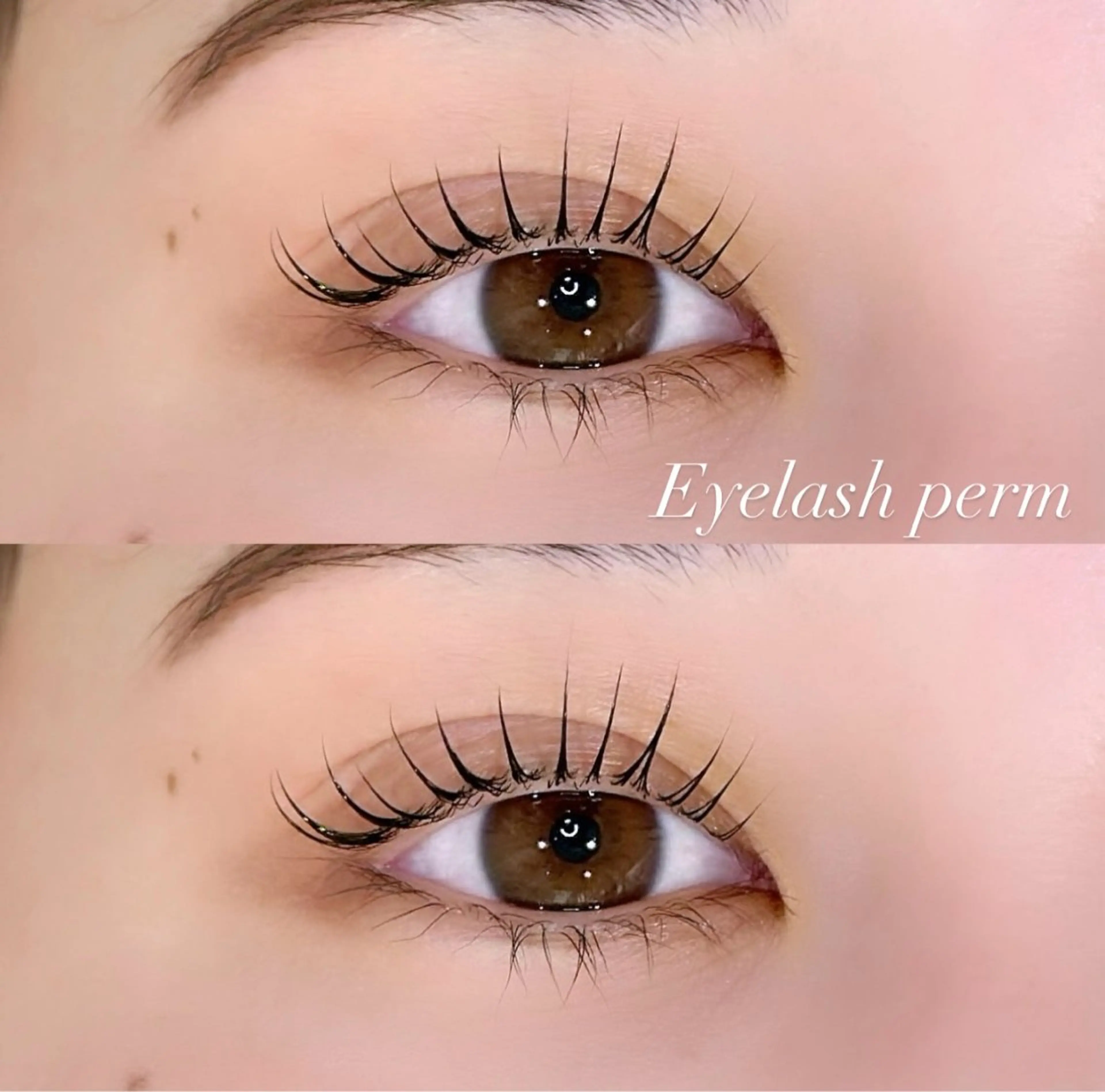 マツエク・マツパ マツパ prize iris ASUKAのマツエク・マツパデザイン