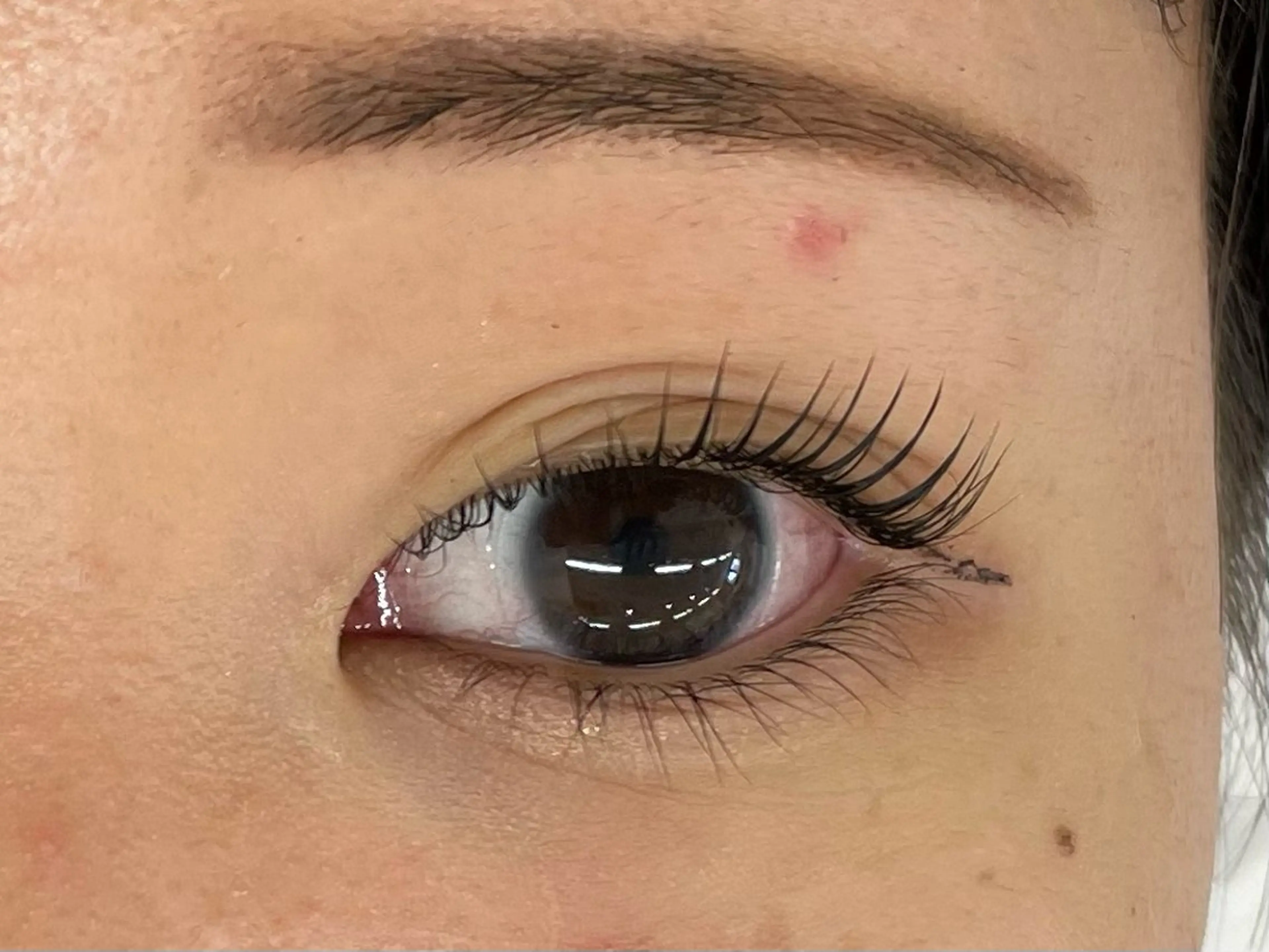 マツエク・マツパ マツパ マリーテレジア 🪻YUKAのマツエク・マツパデザイン