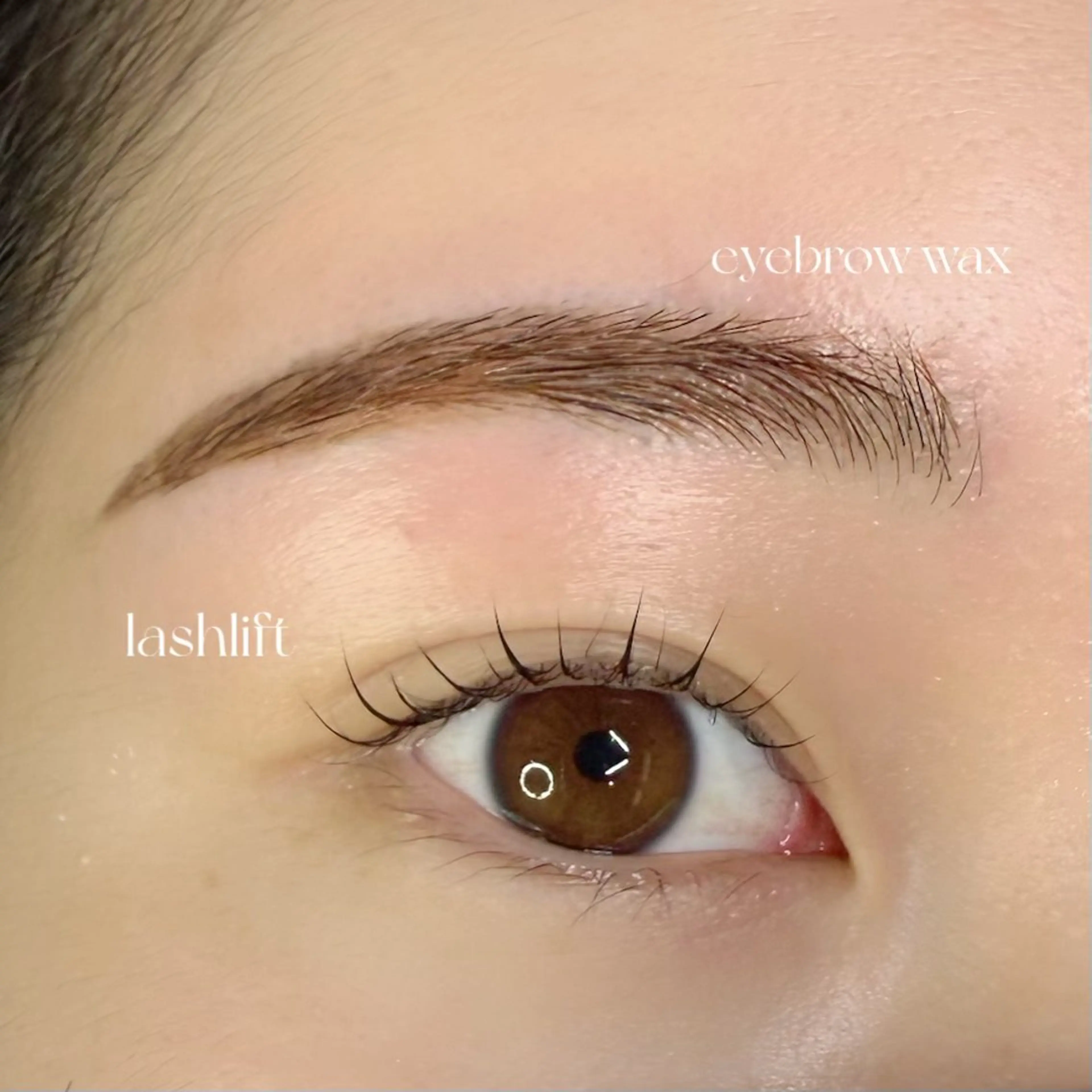 アイブロウ つみき＋所属・つみき＋ RURIの眉毛・アイブロウイメージ