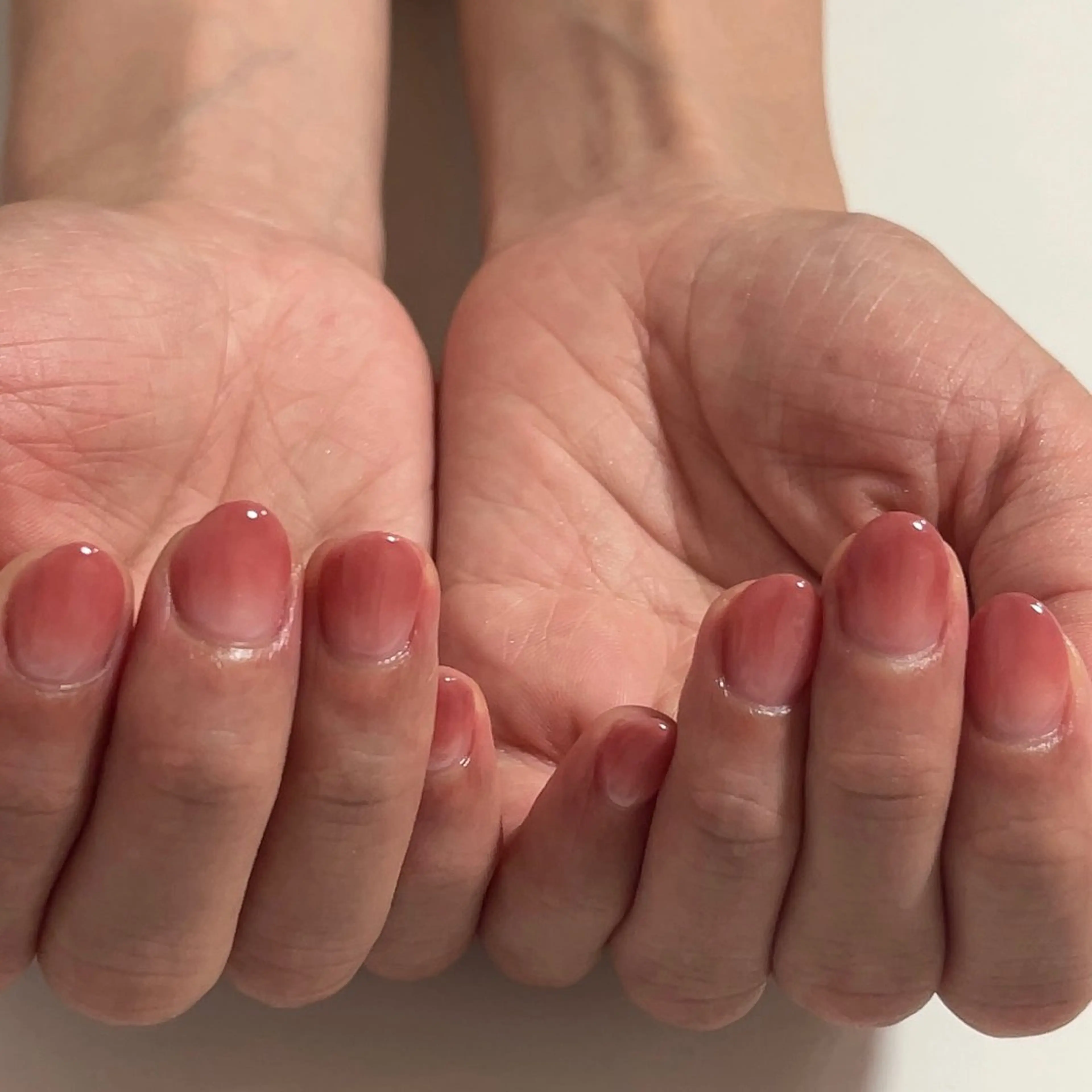 グラデーションの写真