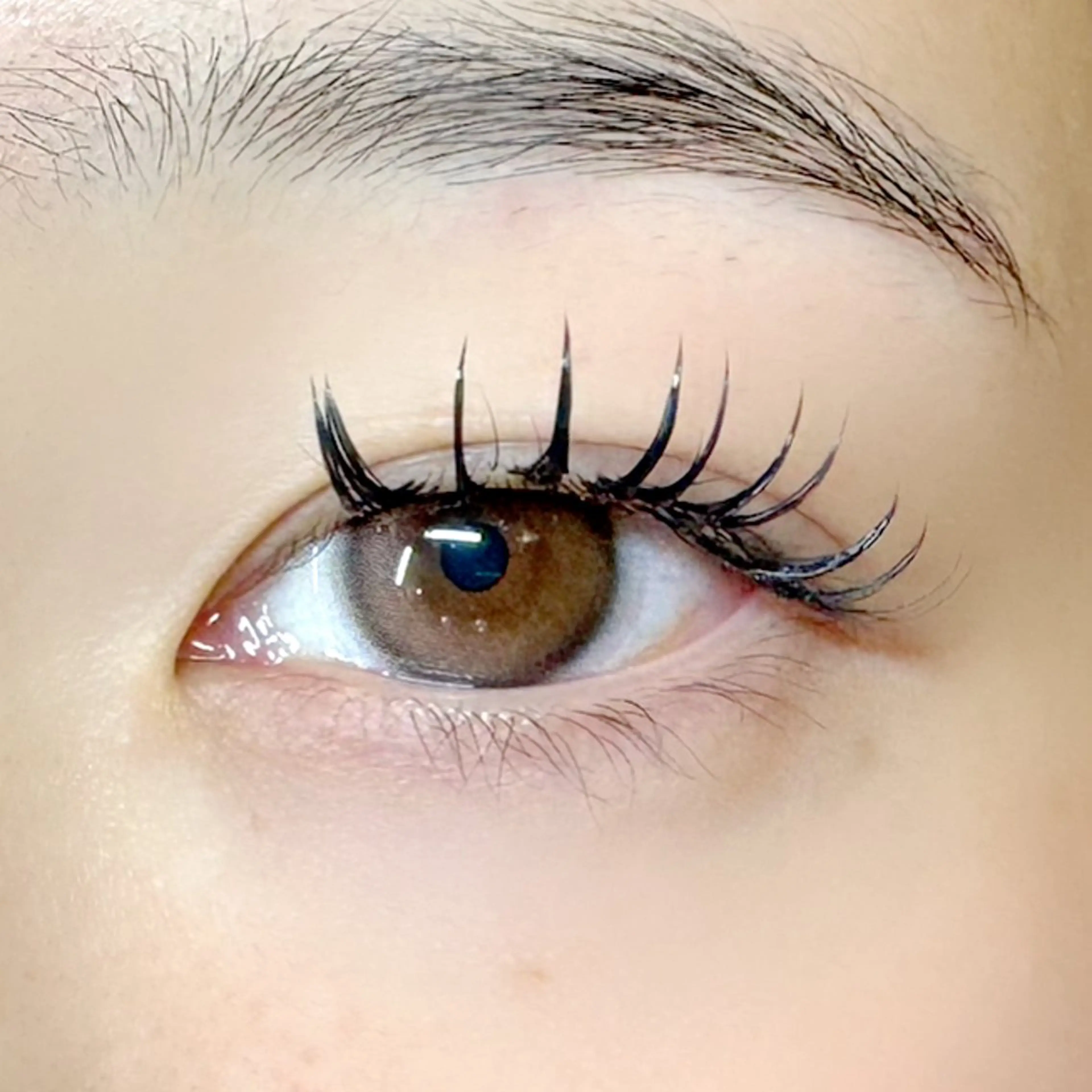 マツエク・マツパ まつげとまゆげ専門店 nonno.のマツエク・マツパデザイン