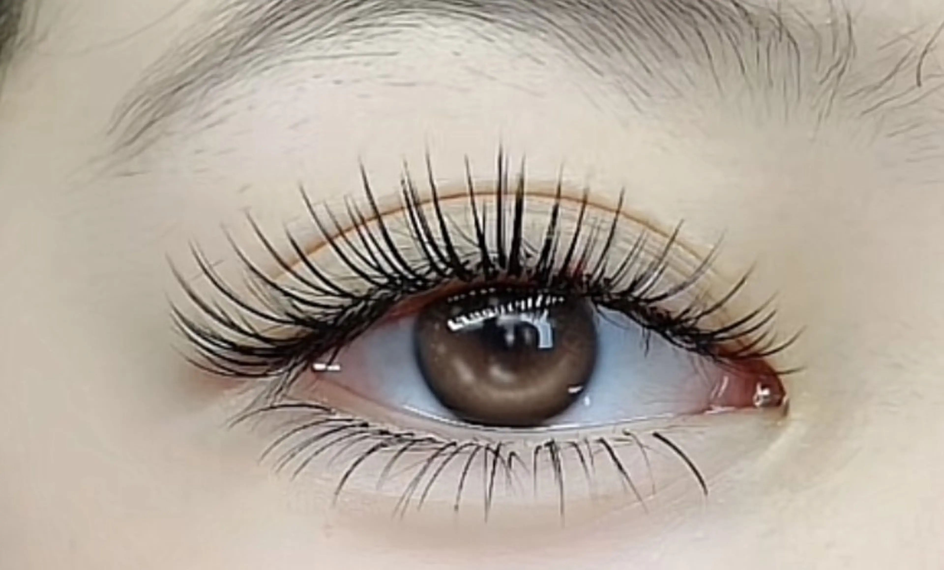 大人気🧚‍♂️ パリエク🧚パリジェンヌ（上まつ毛）+ フラットラッシュ 140本+キープ美容液の写真