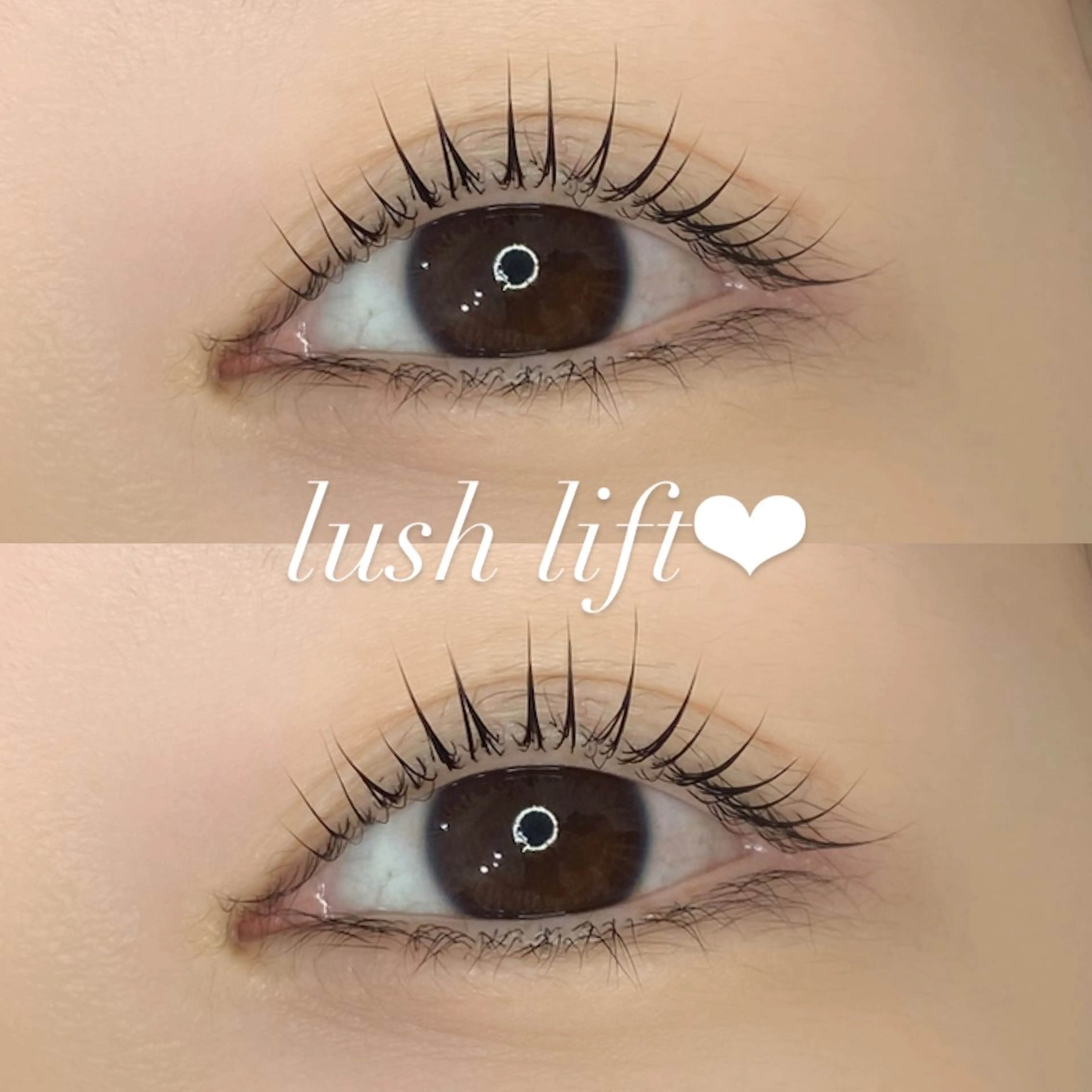 【ご新規様限定】まつげパーマ➕美まつげコーティング仕上げ¥5,500→の写真