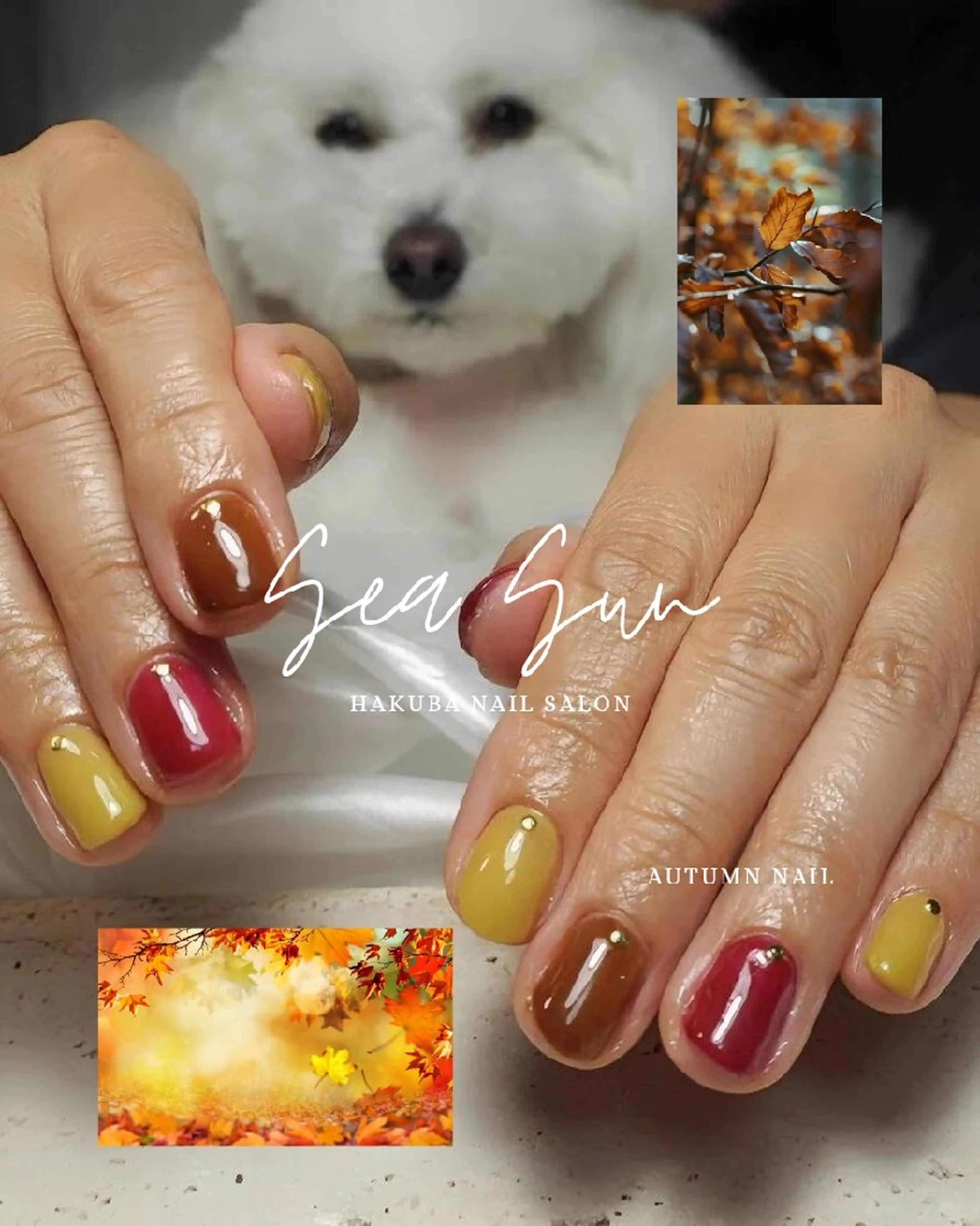 ネイル ハンドネイル 白馬ネイルサロン (しーさん)のネイルデザイン