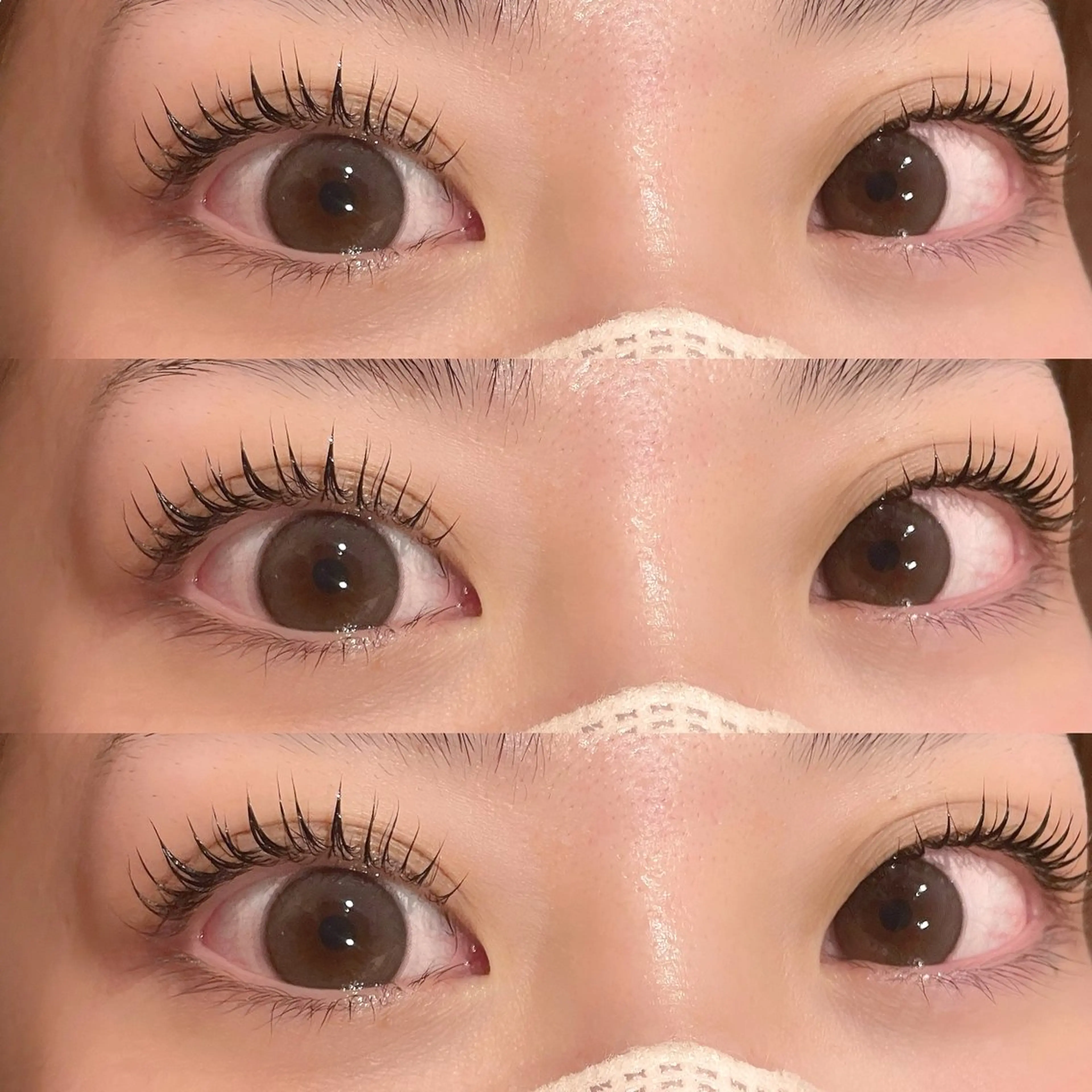 【超オススメ🉐】今話題🐬トリートメント付きマツパ❣️❣️の写真