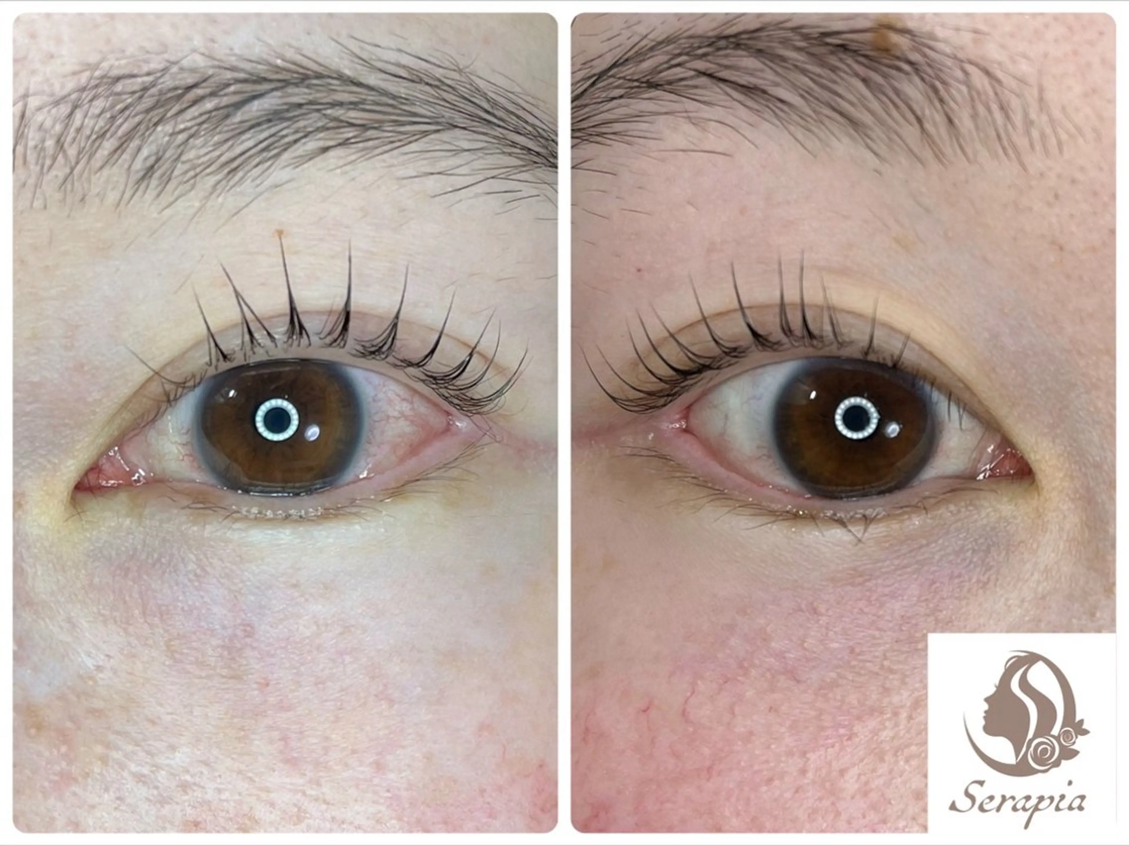 マツエク・マツパ Serapia 【セラピア】のマツエク・マツパデザイン