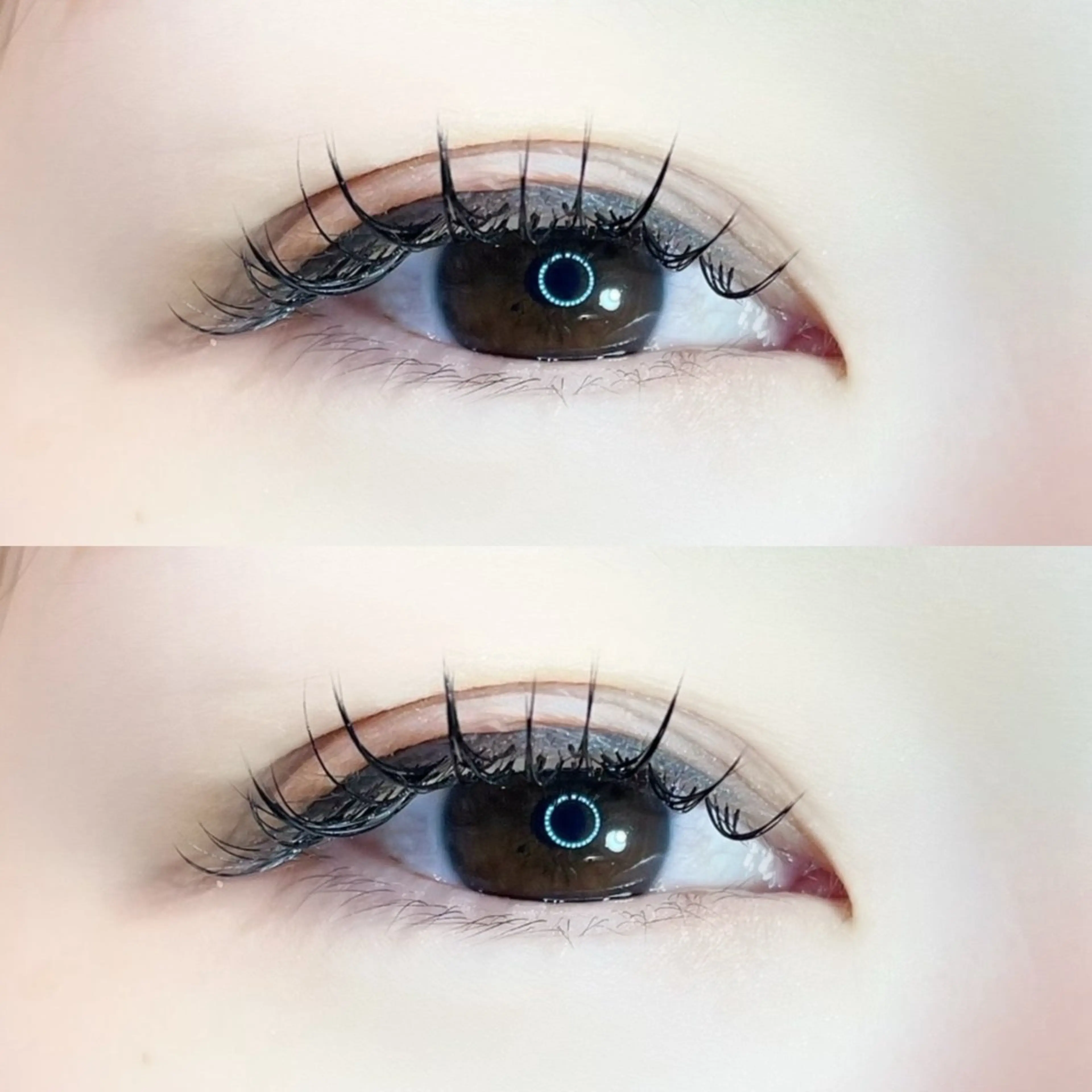 💫セーブルラッシュ100本オフ込みの写真