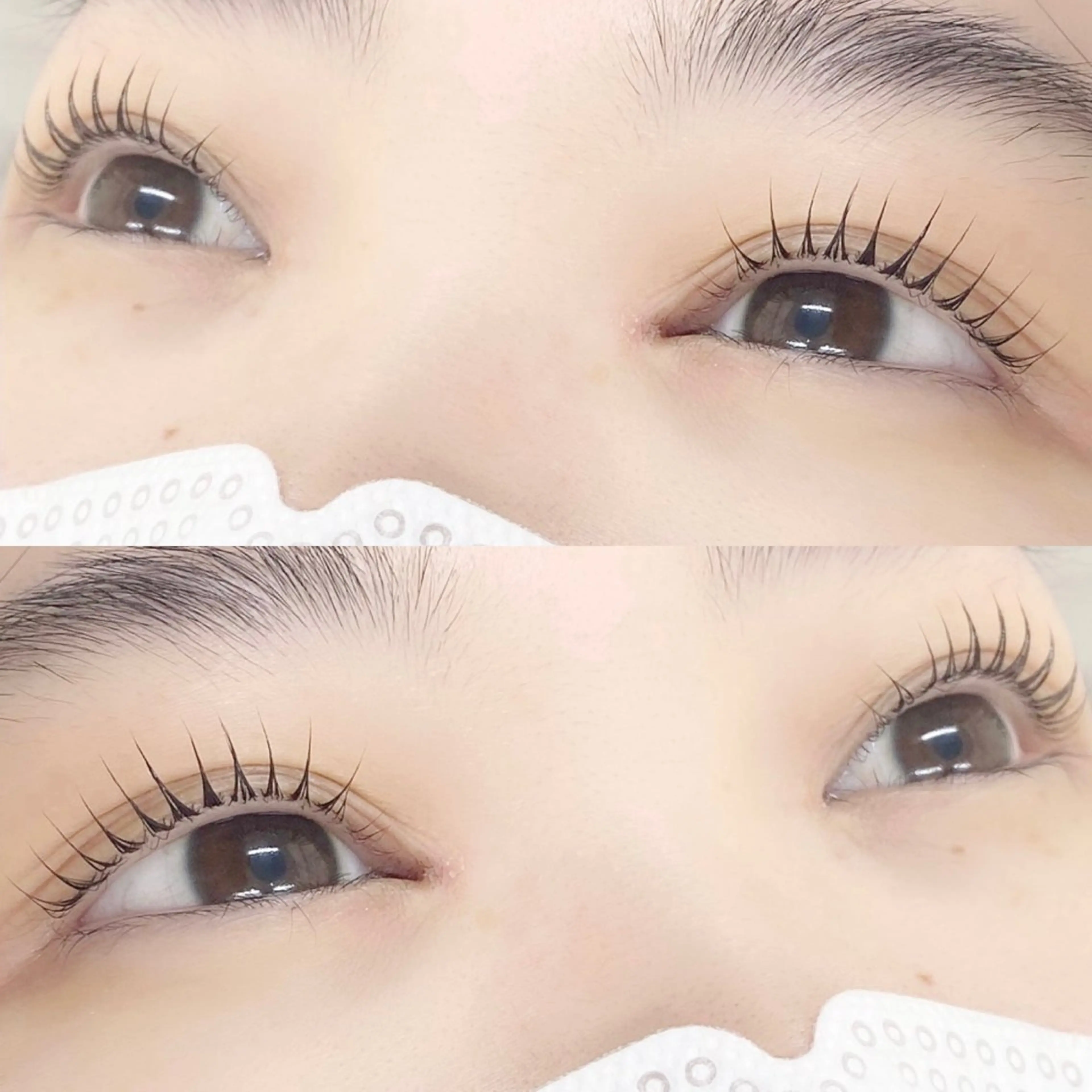 マツエク・マツパ 🌼Alba🌼 犬馬塲のマツエク・マツパデザイン