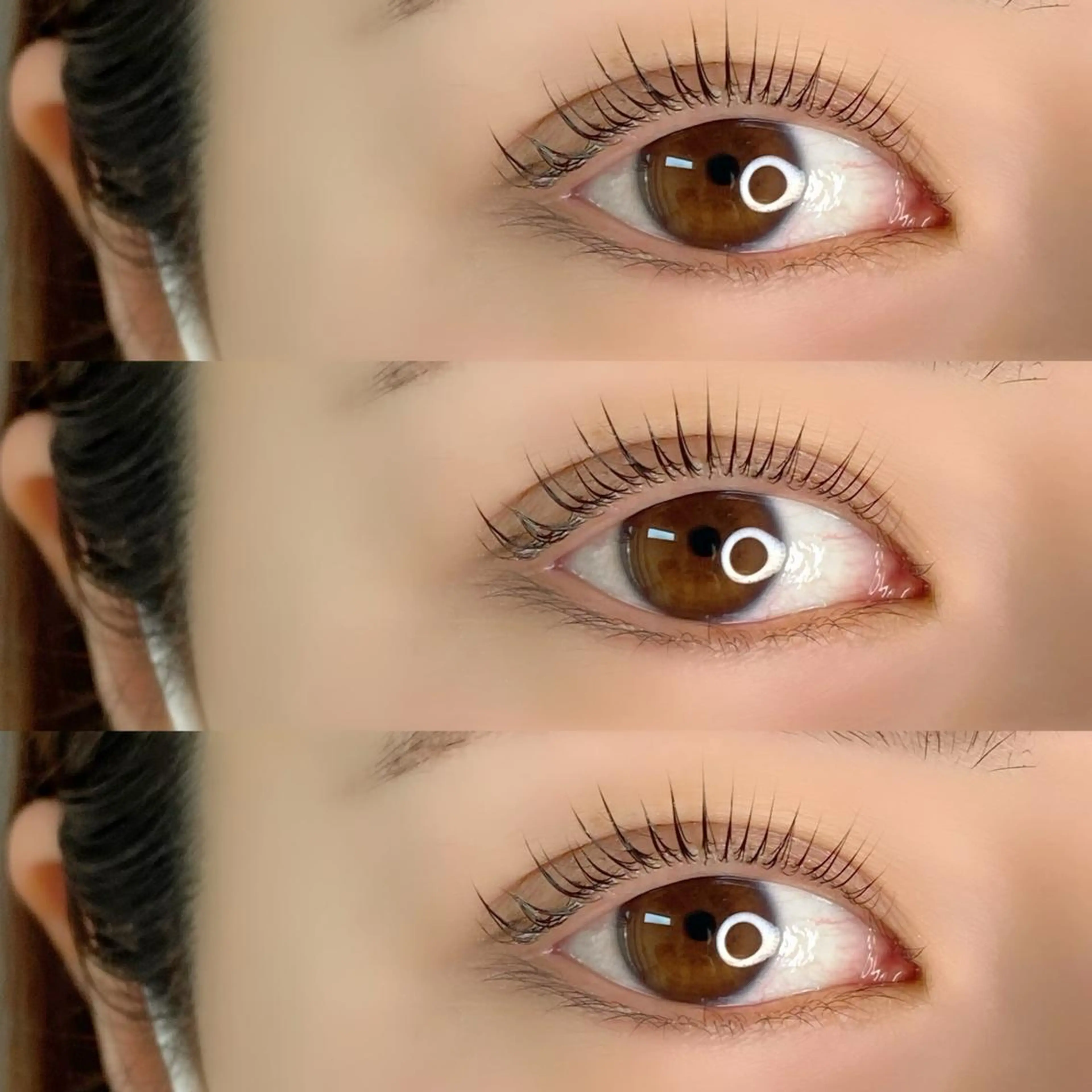 再来：パリジェンヌラッシュリフト＋アイブロウwax ¥12,580の写真