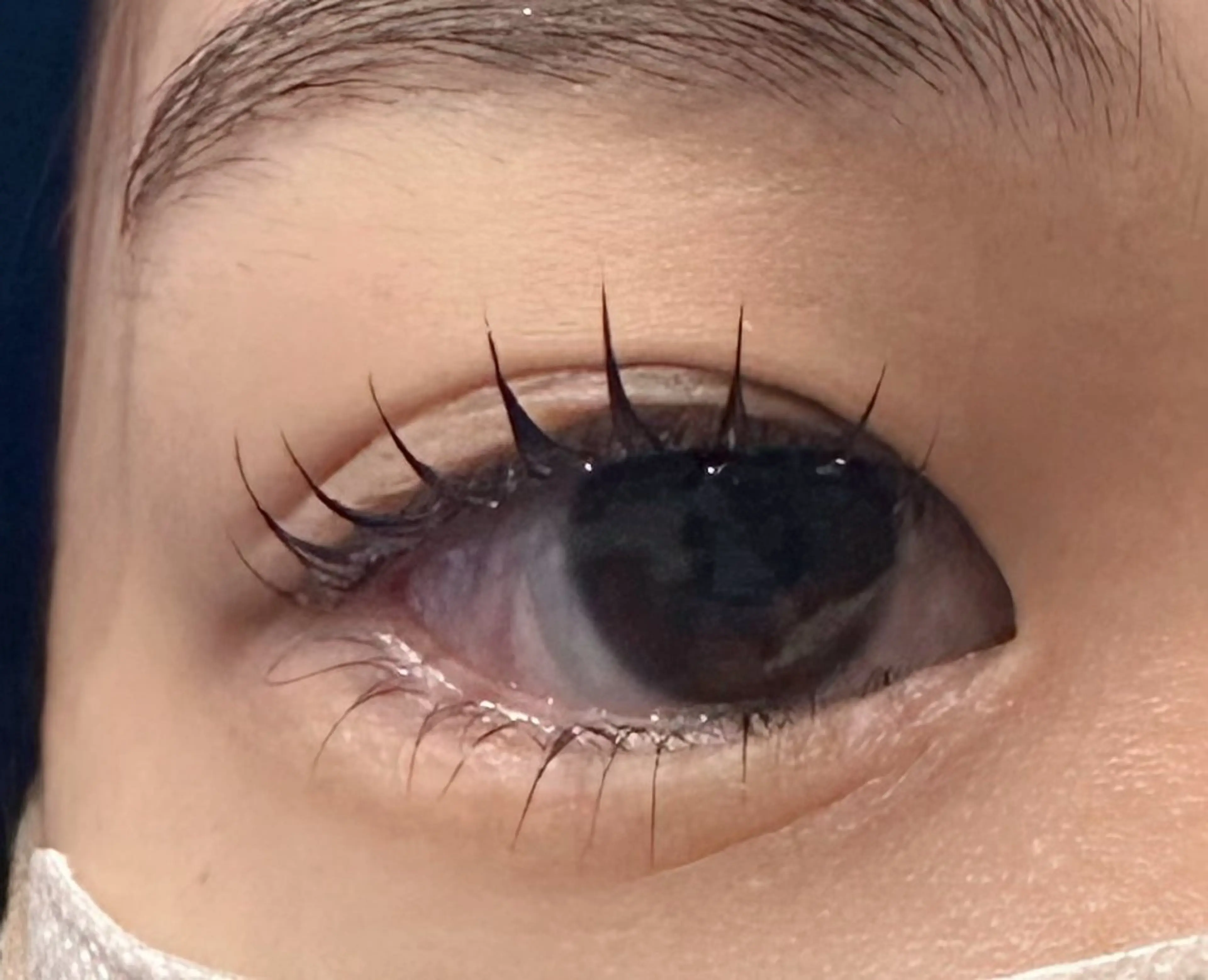 マツエク・マツパ dearbeauty plusのマツエク・マツパデザイン