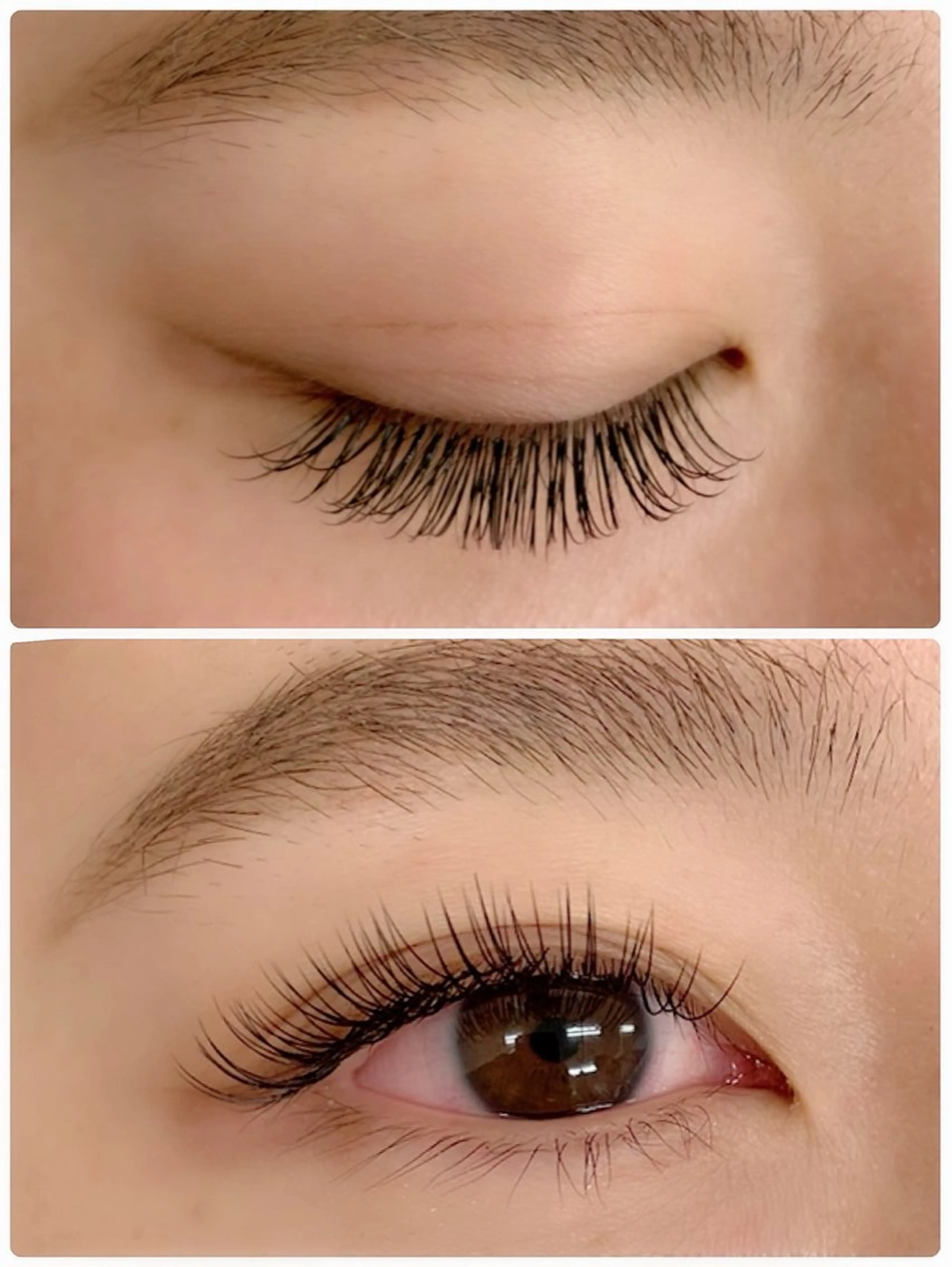 マツエク・マツパ マツエク Ravir Omataのマツエク・マツパデザイン