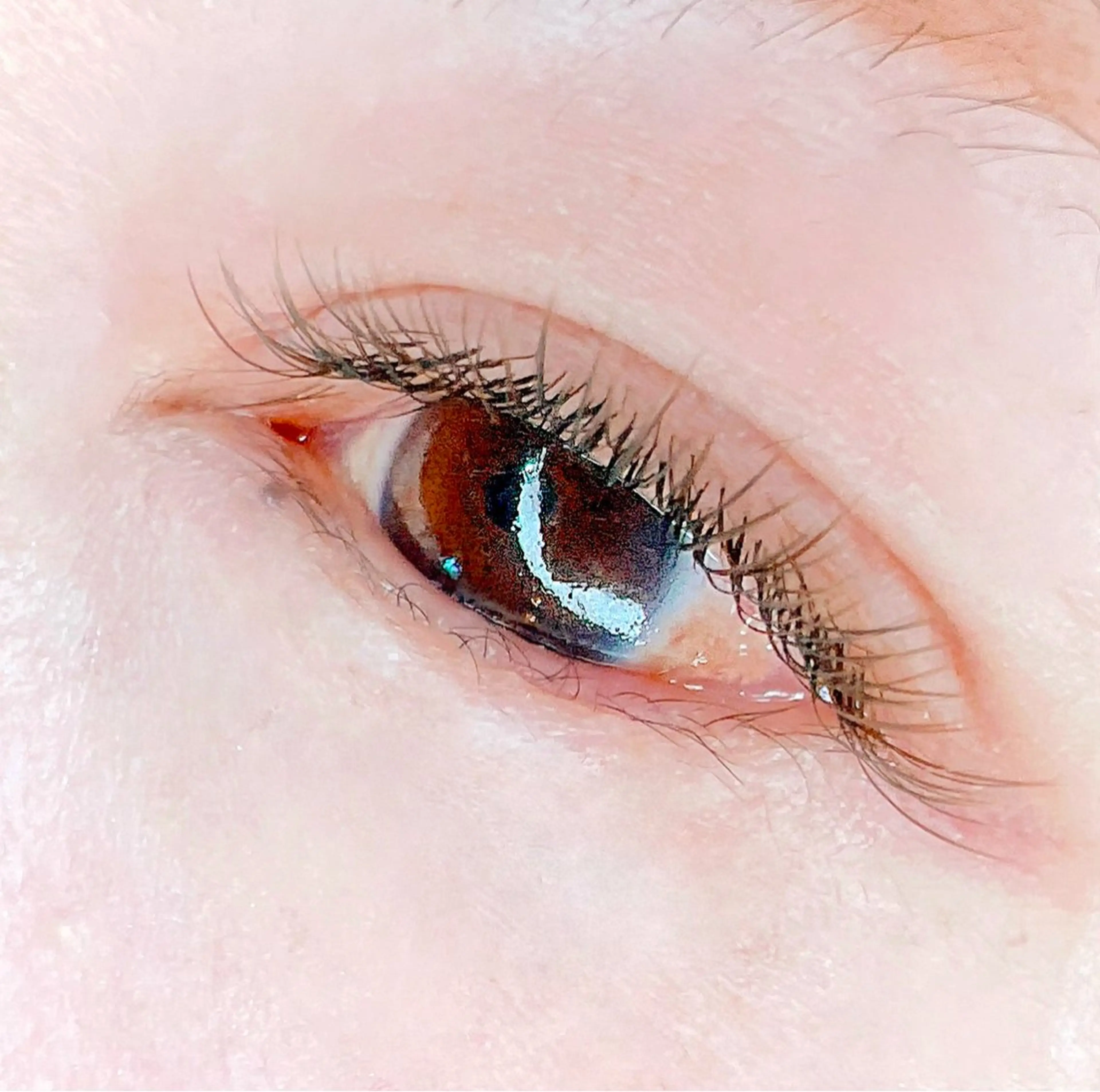 beauty salon Jasmine所属・ジャスミン Jasmineのマツエク・マツパデザイン