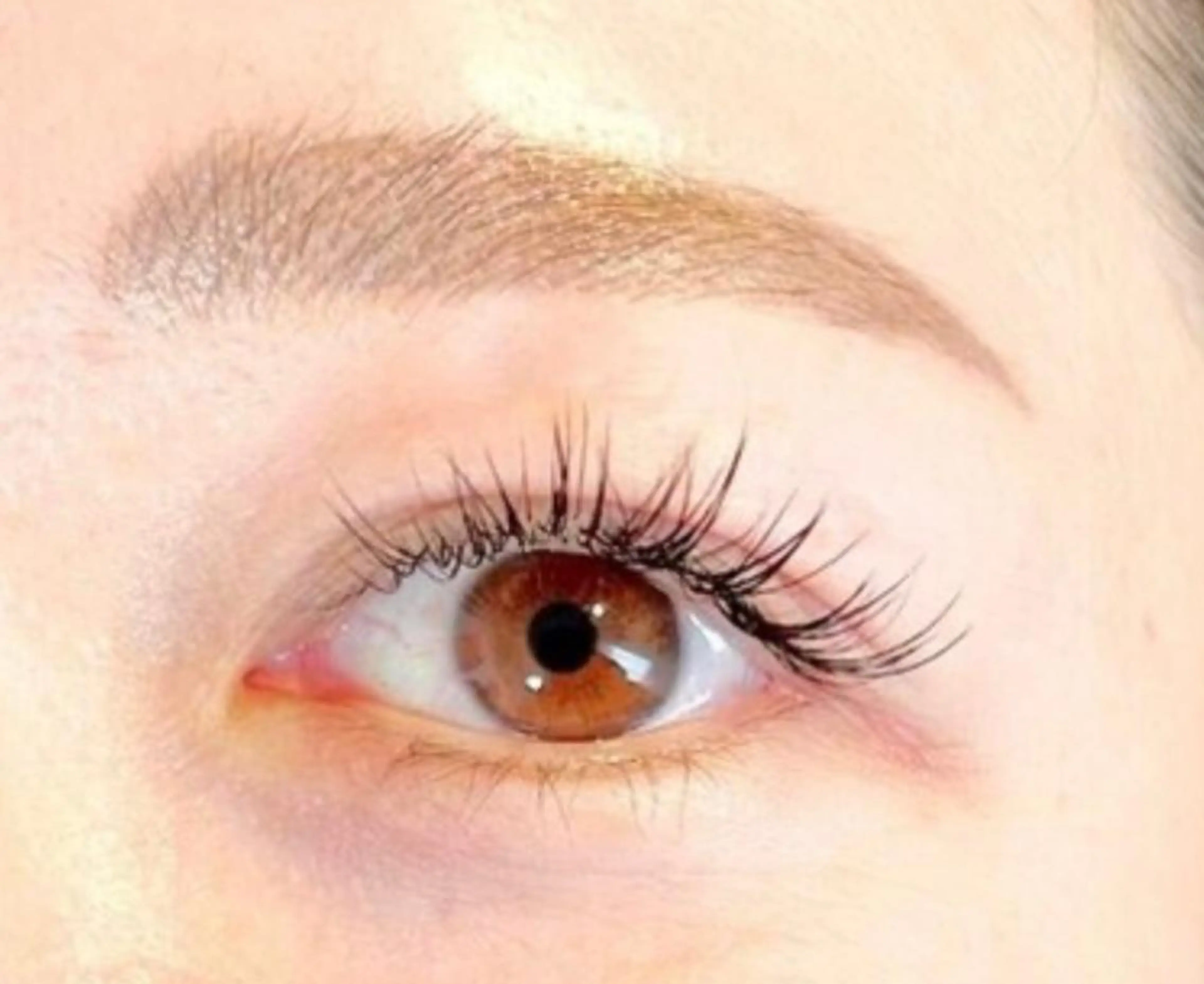 アイブロウ LCエルシー 矢場町店【スクール】のマツエク・マツパデザイン