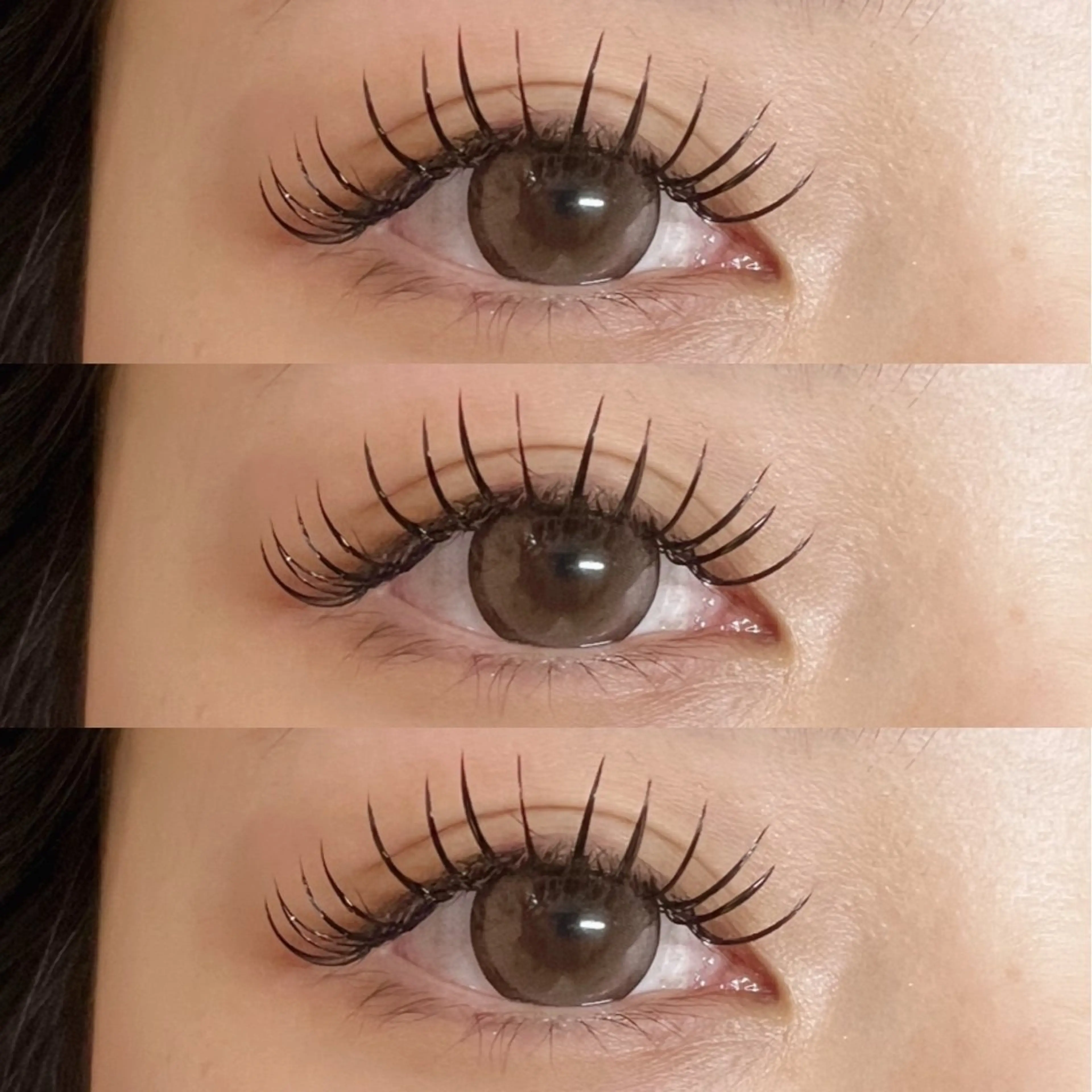 オフ無料/バインドロック40束🌼コーティング付きの写真