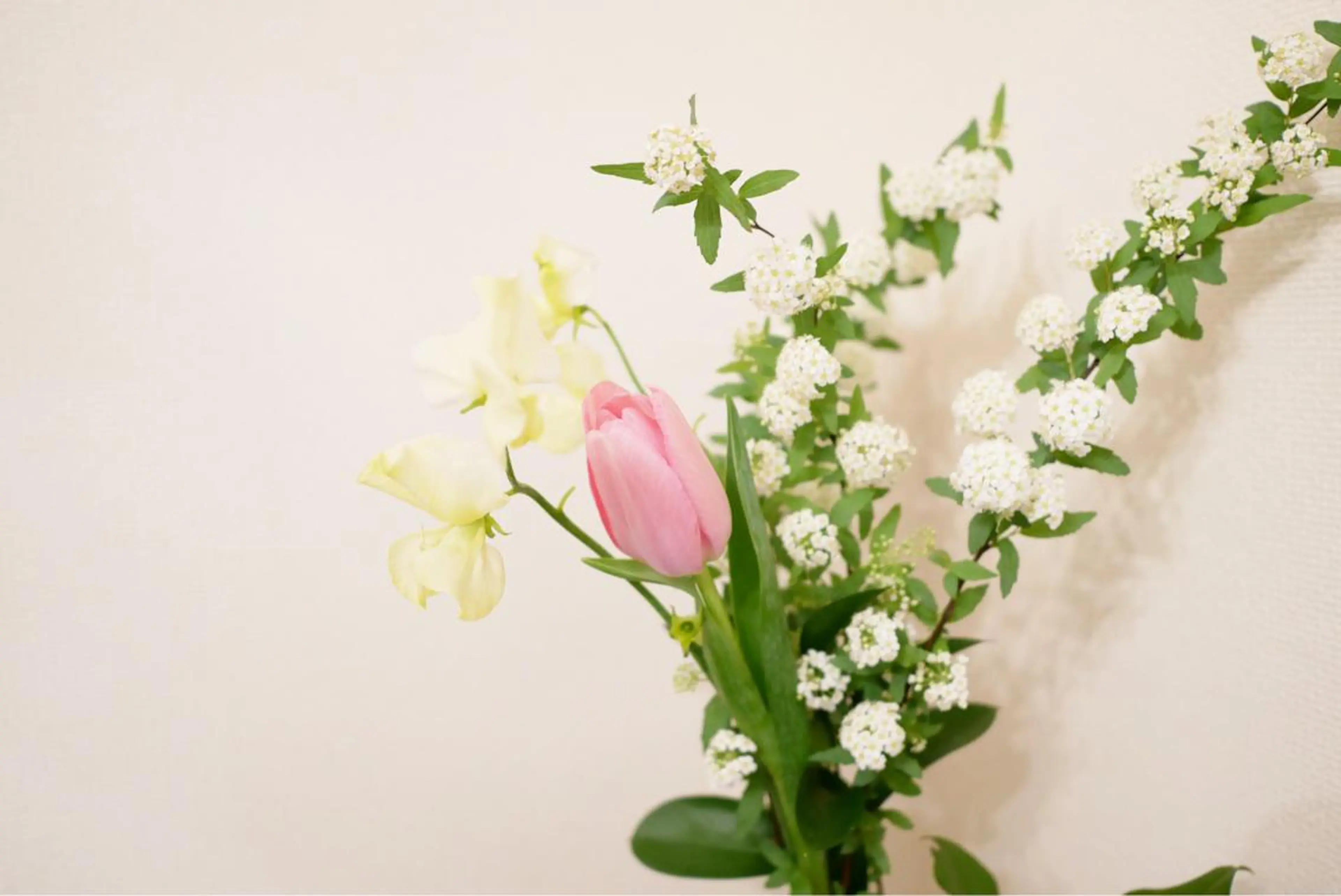 ミディアム カラー パーマ ヘアアレンジ メンズ キッズ ネイル マツエク・マツパ 春ネイル ニキビ跡専門サロン Ainaのエステ・リラクイメージ