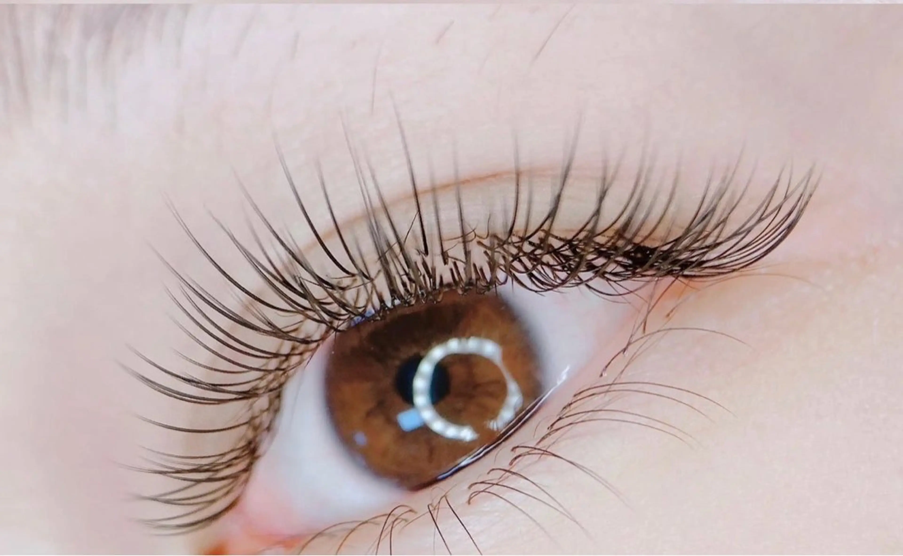 上マツエク 100本💎 フラットラッシュの写真