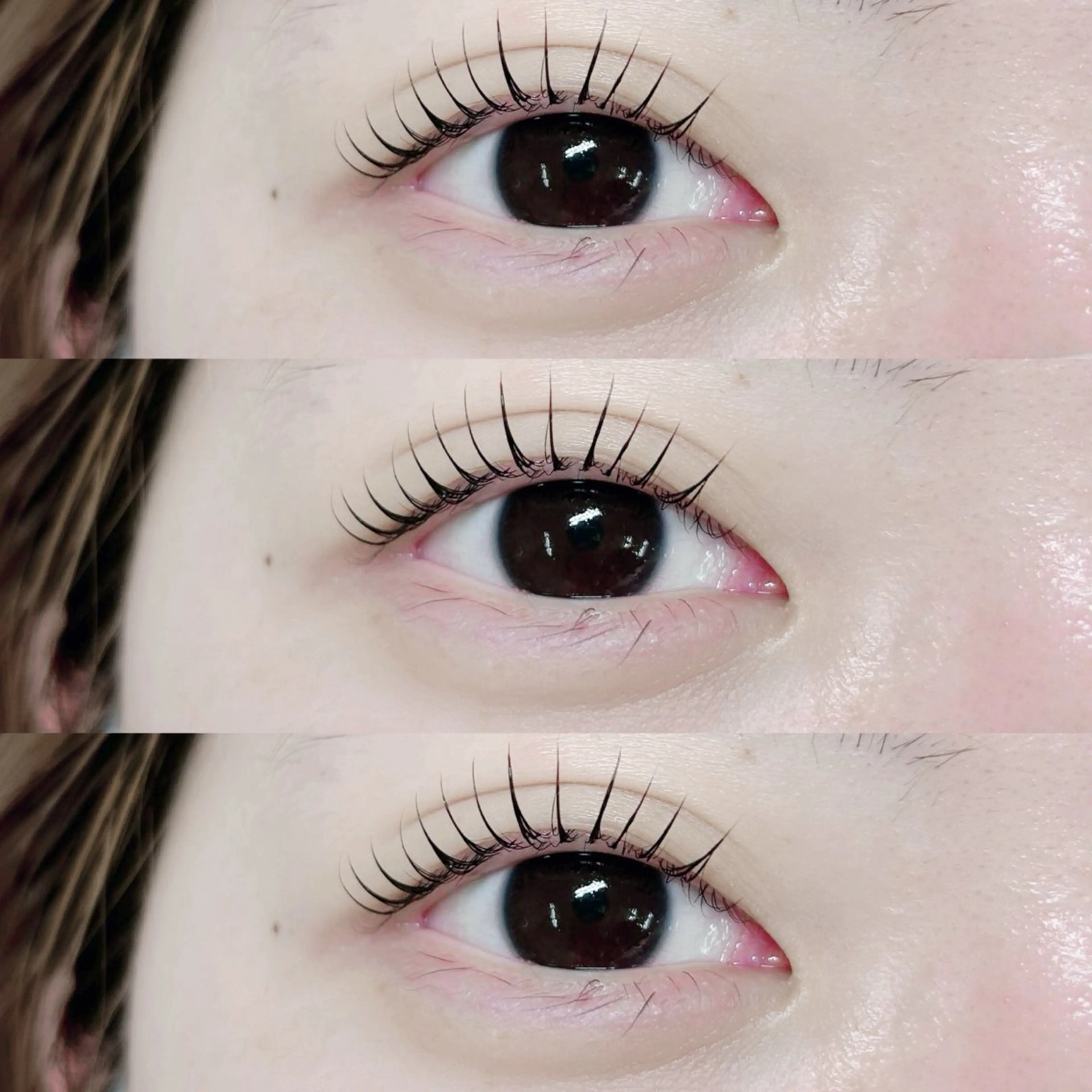 🌿（上）パリジェンヌorラッシュリフト🌿の写真