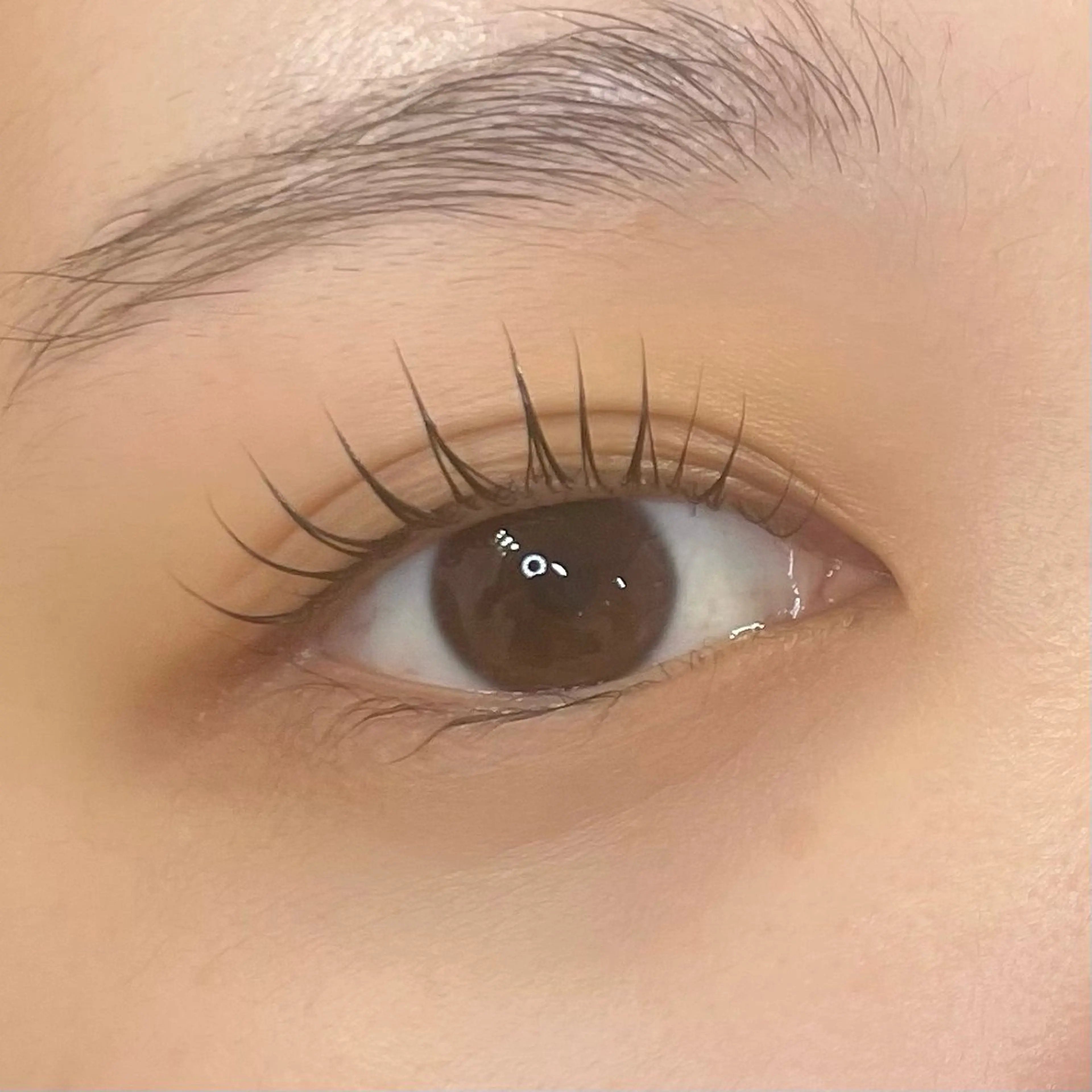 マツエク・マツパ 一重×まつ毛パーマ マツパ Lib 金沢店/ イワイ コハルのマツエク・マツパデザイン