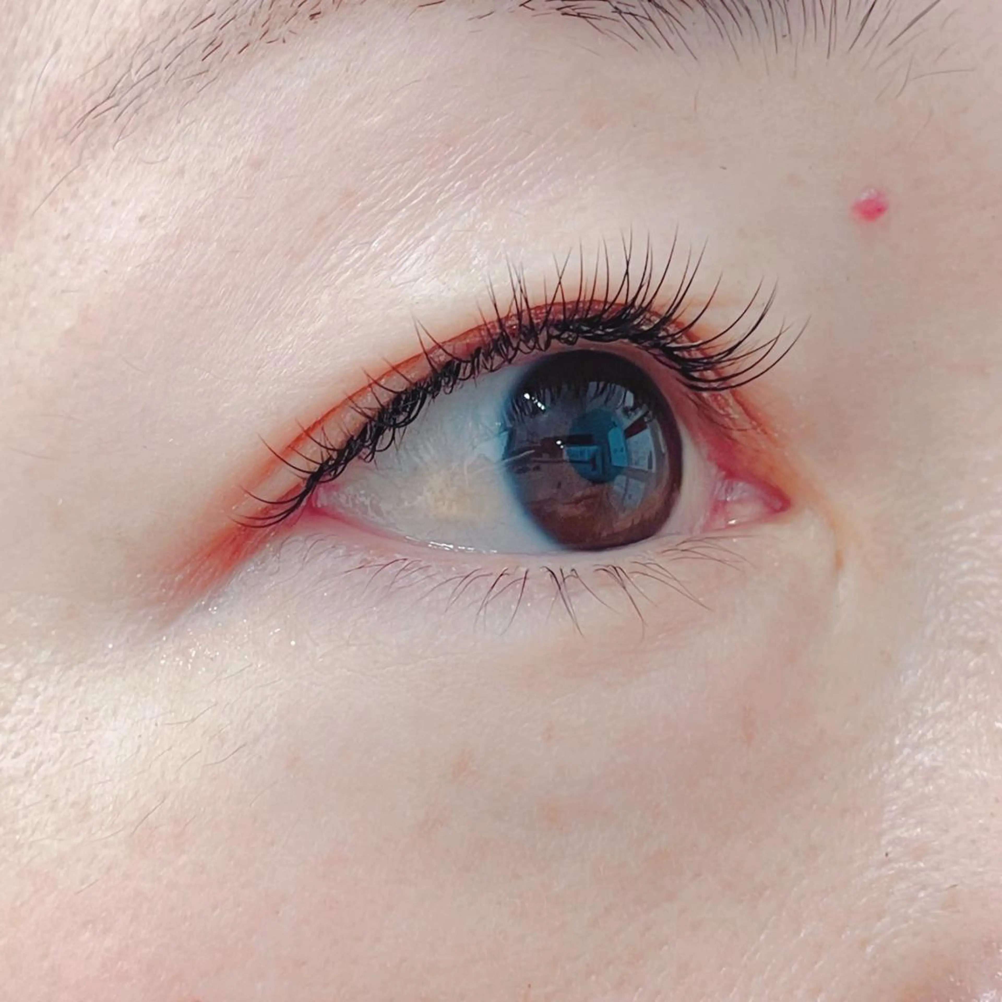 マツエク・マツパ Jカール ナチュラル マツエク blanca🌺 mayu(東白楽)のマツエク・マツパデザイン