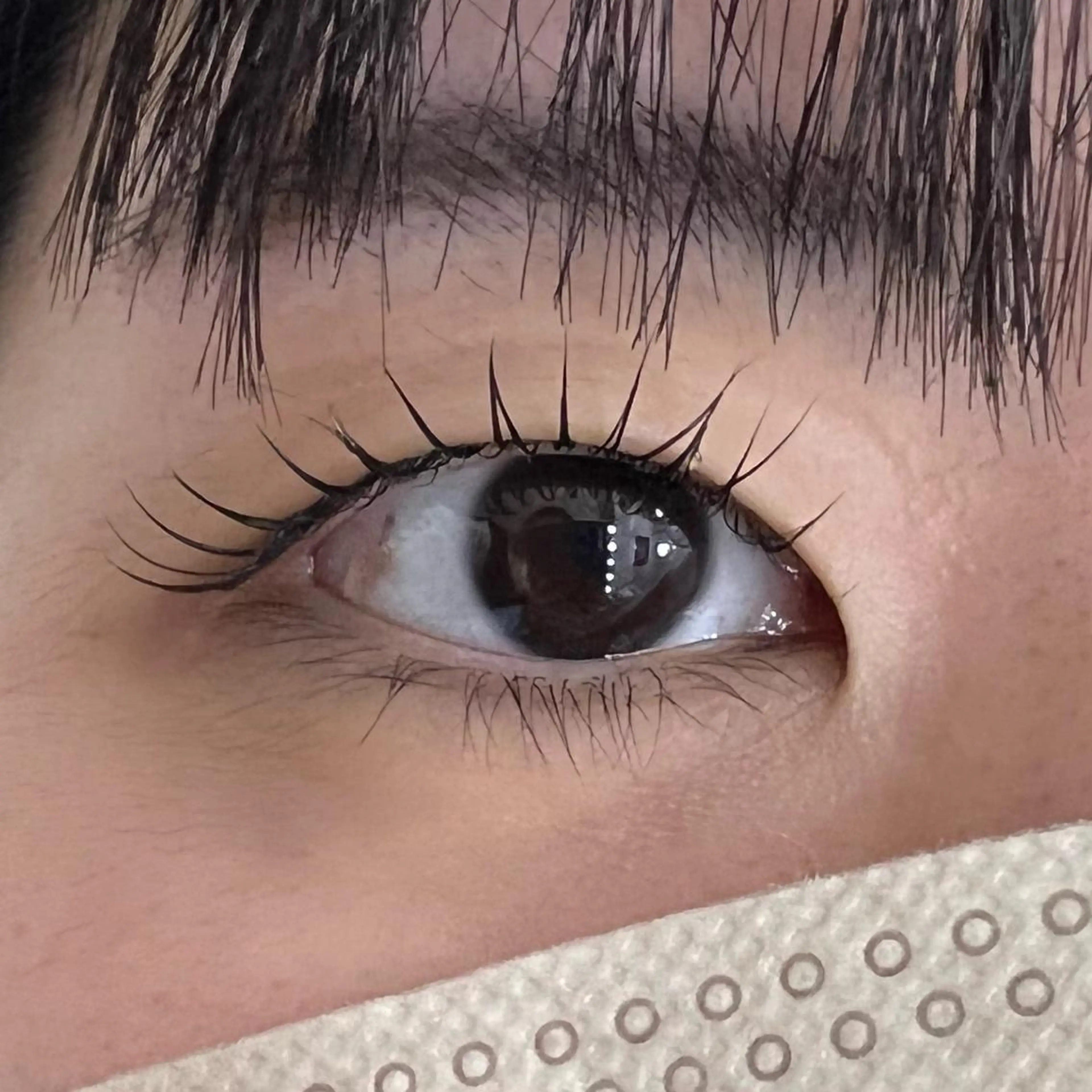 マツエク・マツパ 一重×まつ毛パーマ Celeste Venus所属・🧸Celeste Venusのマツエク・マツパデザイン