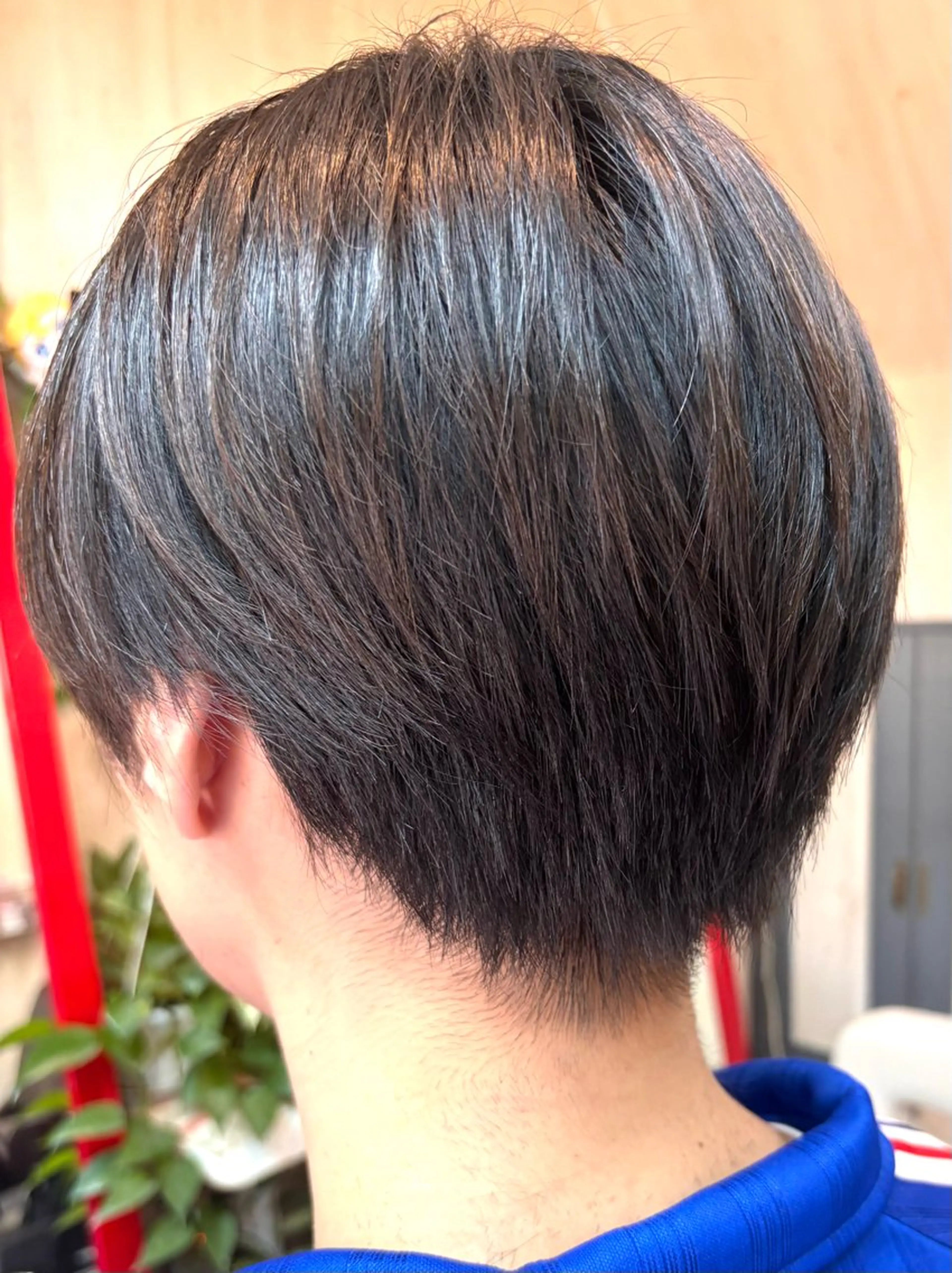 ⭐️ミニモ限定⭐️  カット(SB込み)🪴1000円オフ🪴の写真