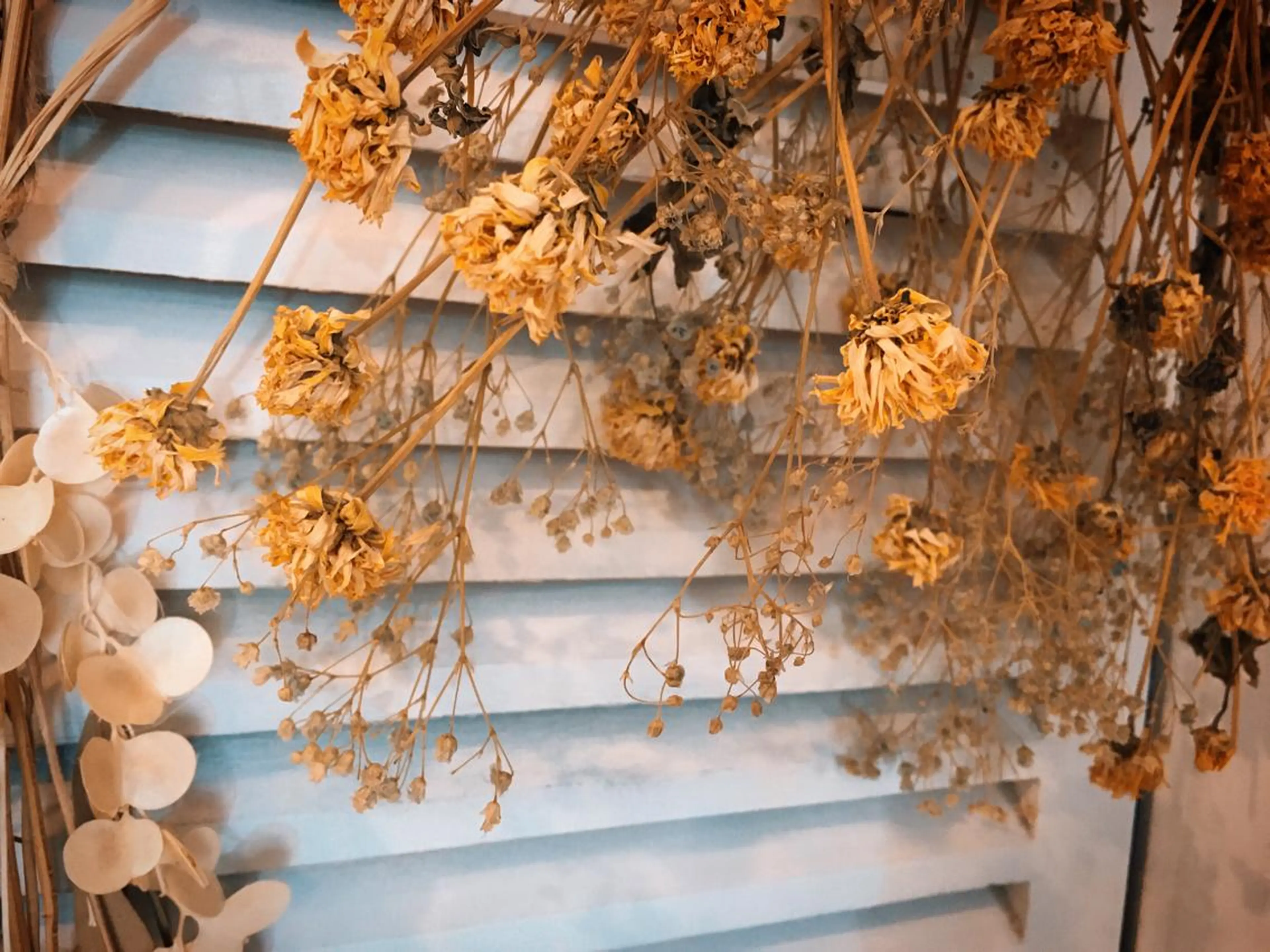 マツエク・マツパ utaeyelash所属・中川 朋美のマツエク・マツパデザイン