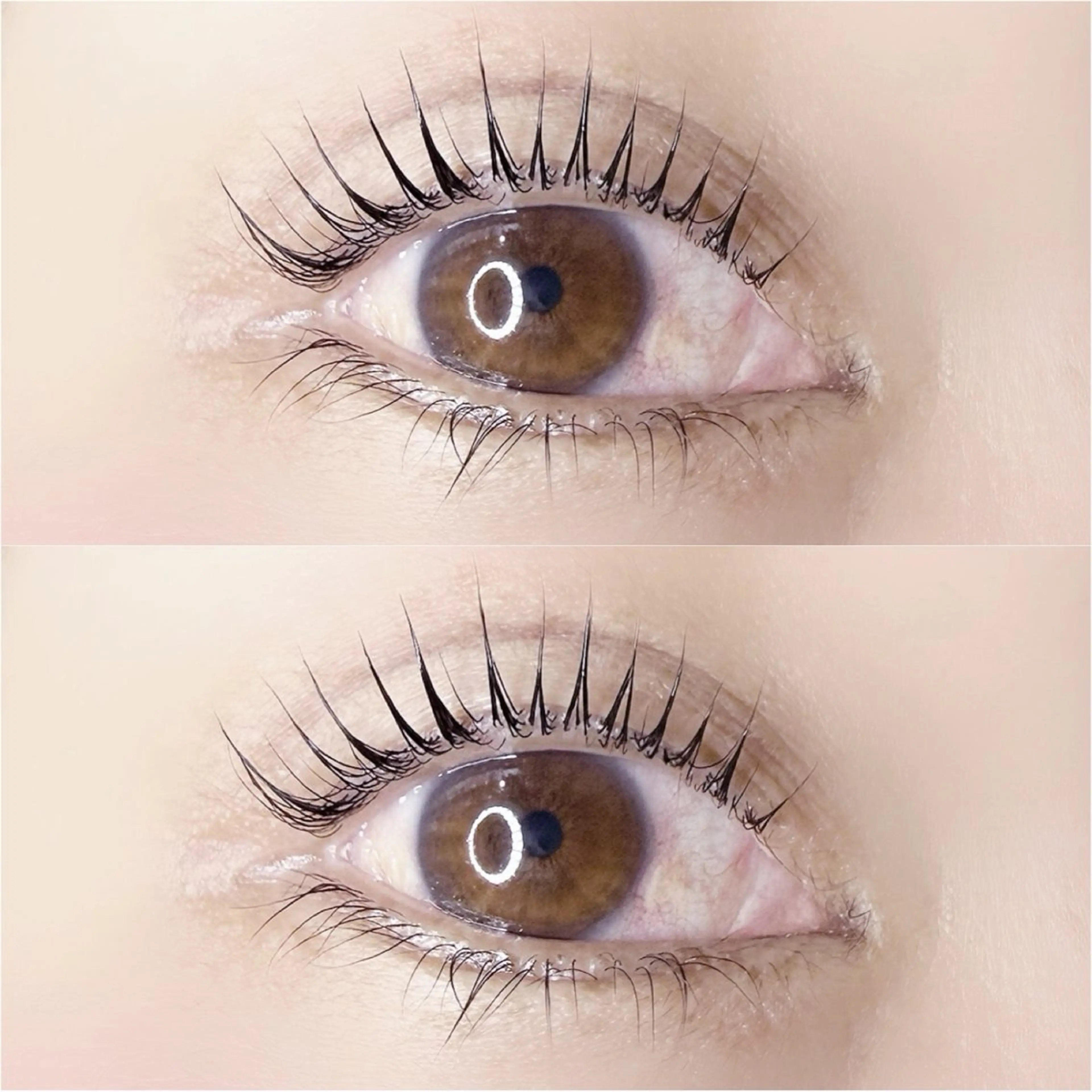 マツエク・マツパ 束感まつ毛 マツパ まつパまつエク❥❥ アズミ/金剛駅🌿‬のマツエク・マツパデザイン